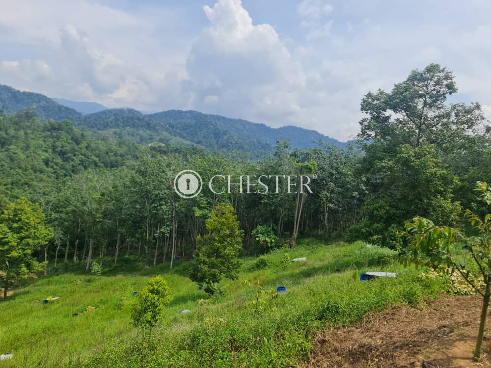 4-9-acres-bentong-old-road-rubber-land-for-sale-2