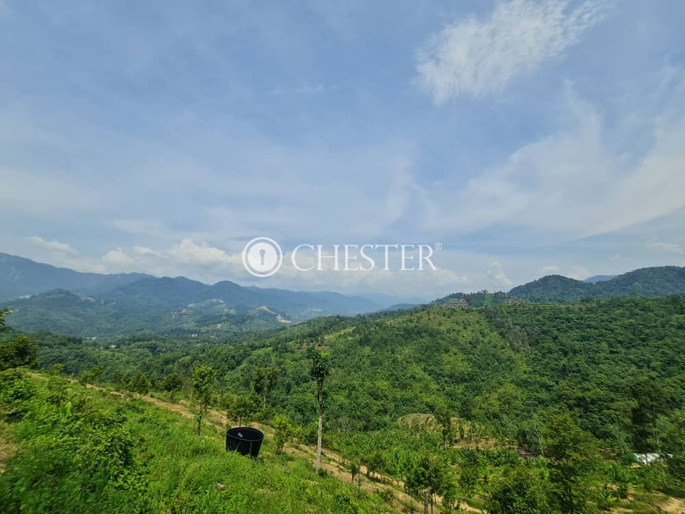 4-9-acres-bentong-old-road-rubber-land-for-sale-4