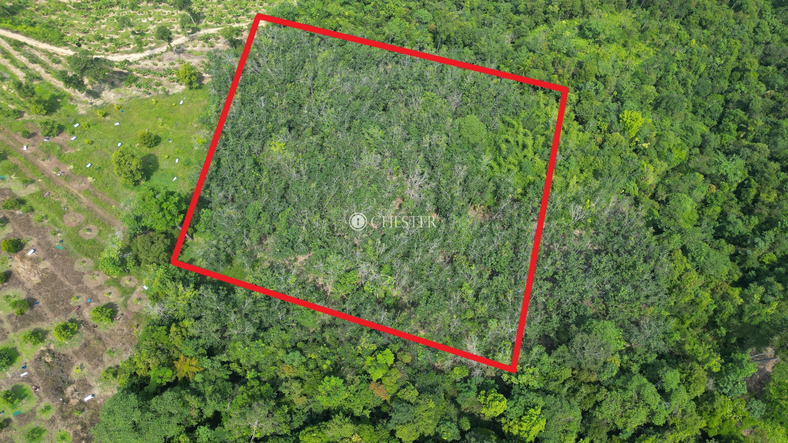 4-9-acres-bentong-old-road-rubber-land-for-sale-6