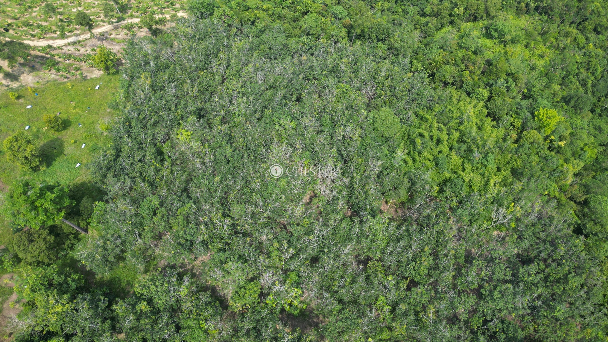 4-9-acres-bentong-old-road-rubber-land-for-sale-8