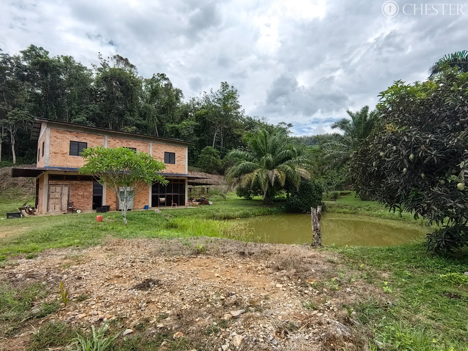 49-ac-raub-tras-matured-oil-palm-land-facing-main-road-for-sale-2