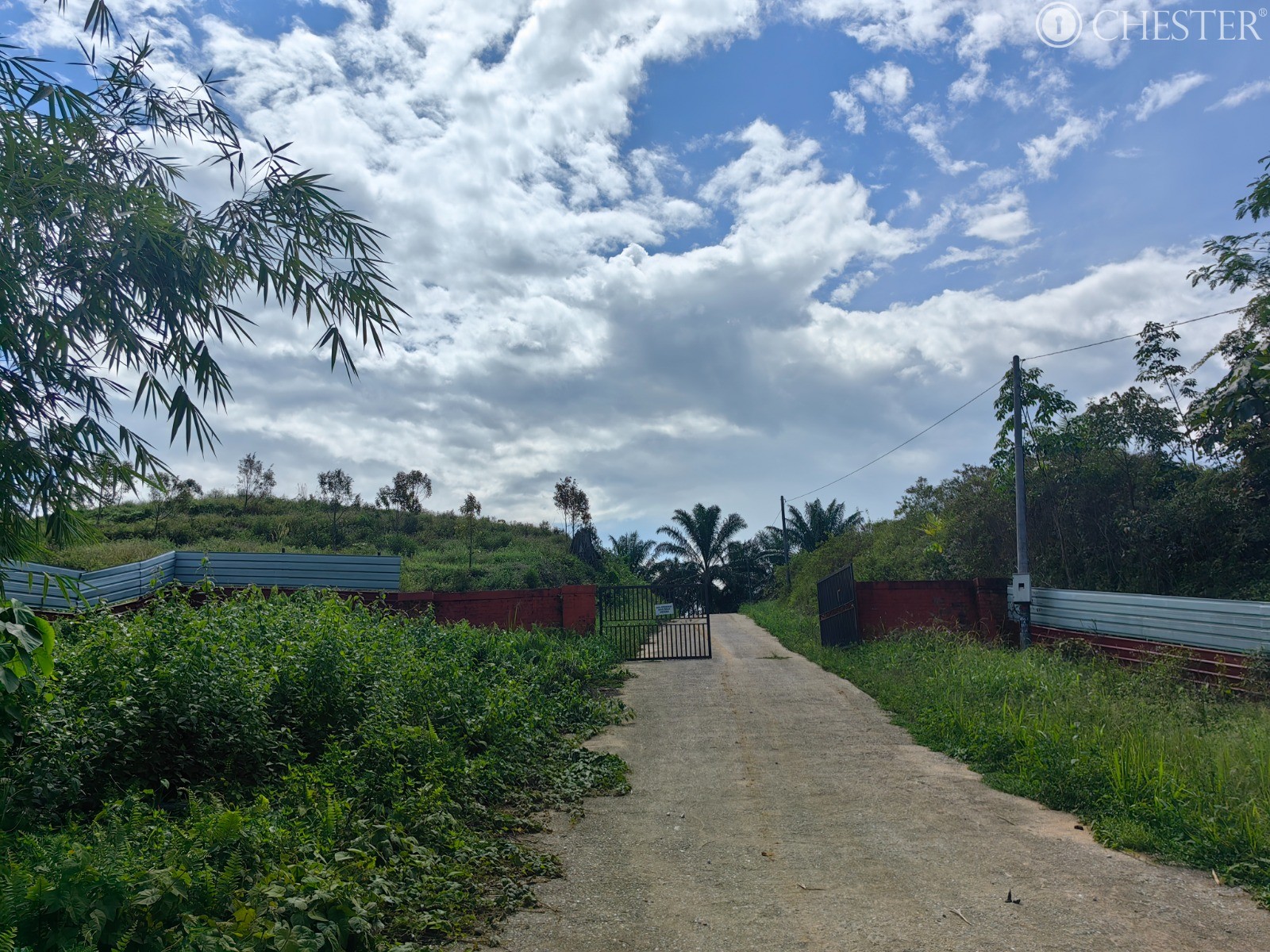 49-ac-raub-tras-matured-oil-palm-land-facing-main-road-for-sale-20