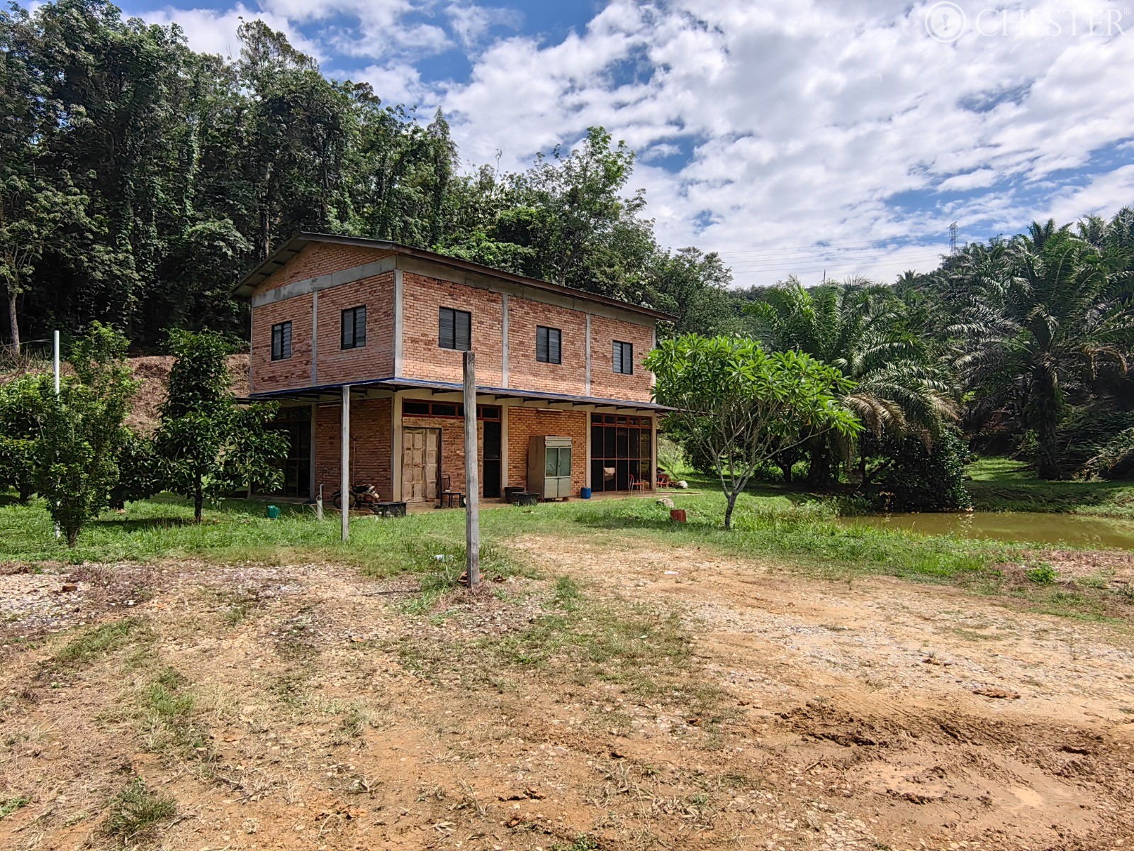 49-ac-raub-tras-matured-oil-palm-land-facing-main-road-for-sale-24