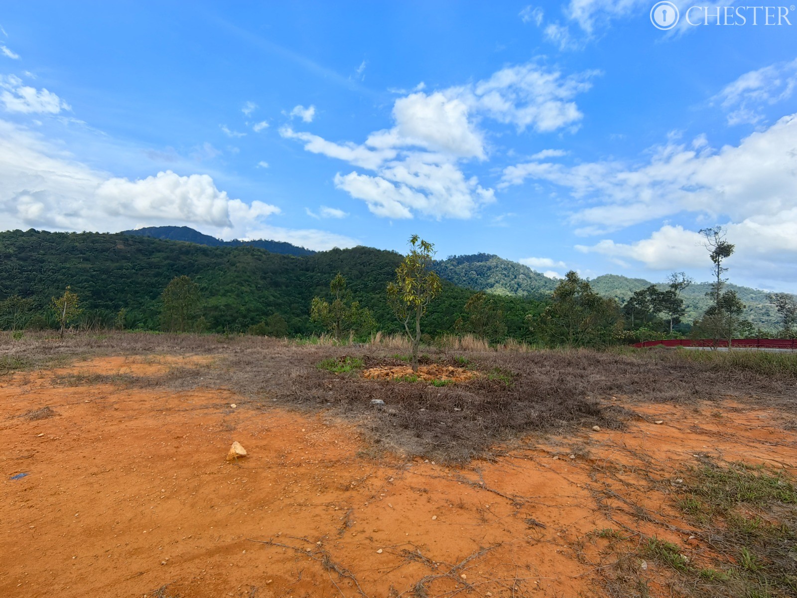 49-ac-raub-tras-matured-oil-palm-land-facing-main-road-for-sale-34