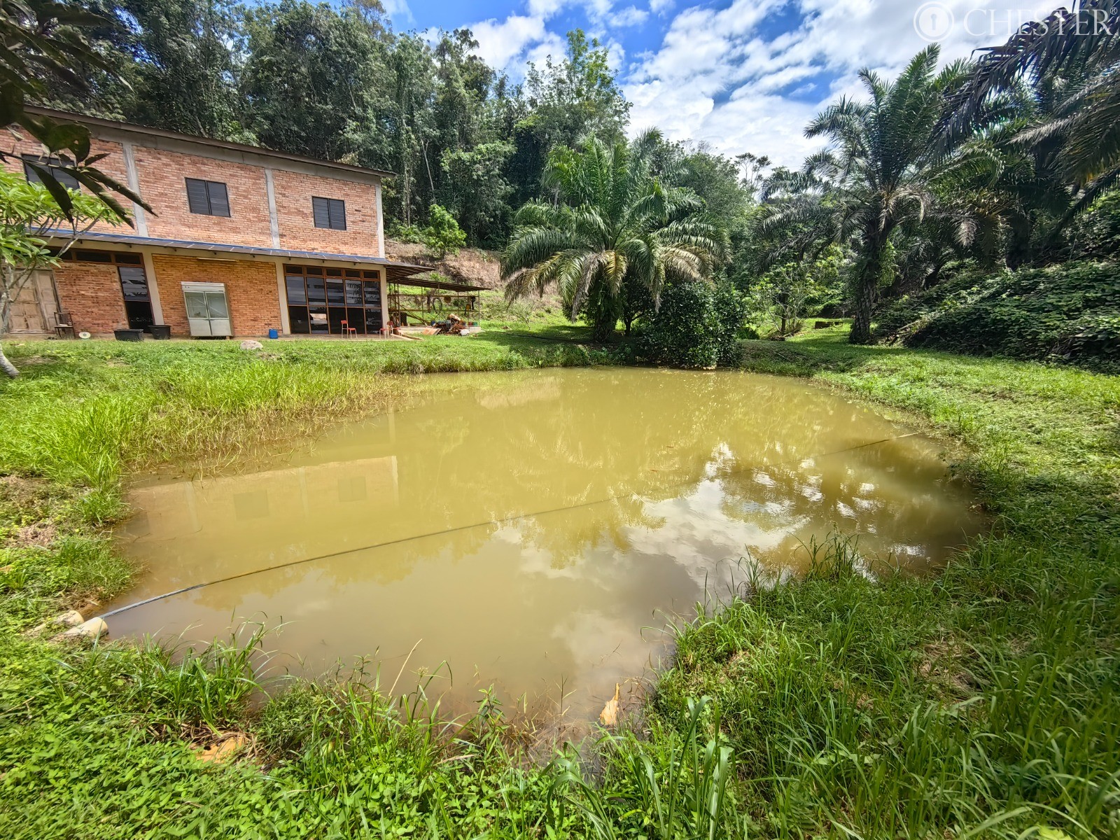 49-ac-raub-tras-matured-oil-palm-land-facing-main-road-for-sale-8