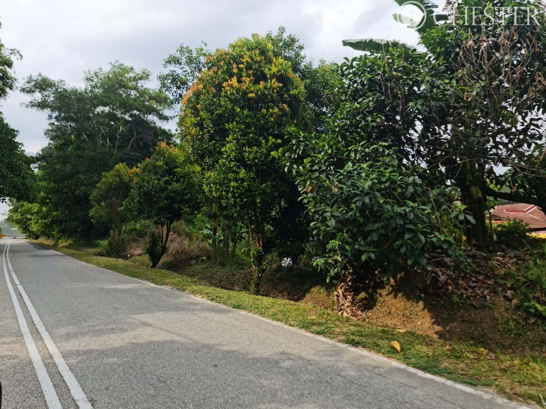 5-512-acres-bentong-old-road-main-town-development-land-for-sale-1