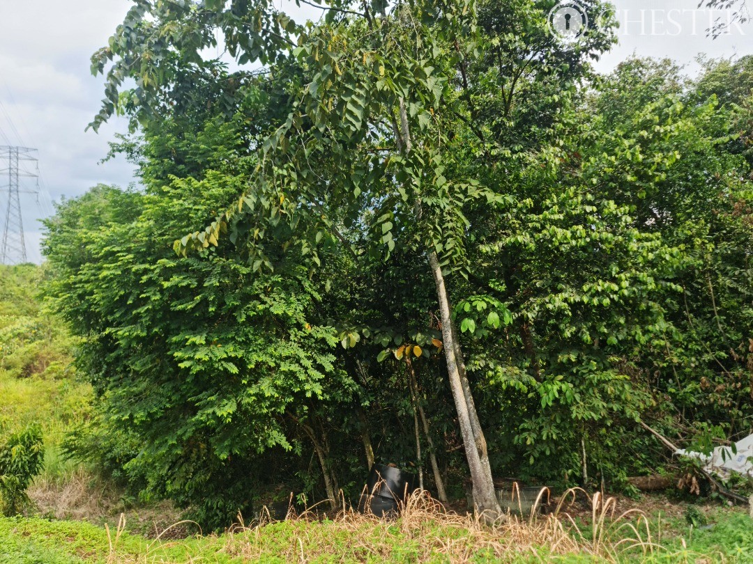 5-512-acres-bentong-old-road-main-town-development-land-for-sale-10