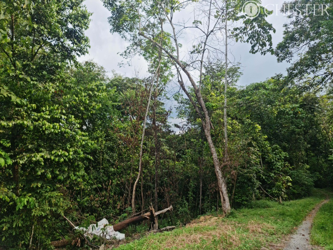 5-512-acres-bentong-old-road-main-town-development-land-for-sale-12