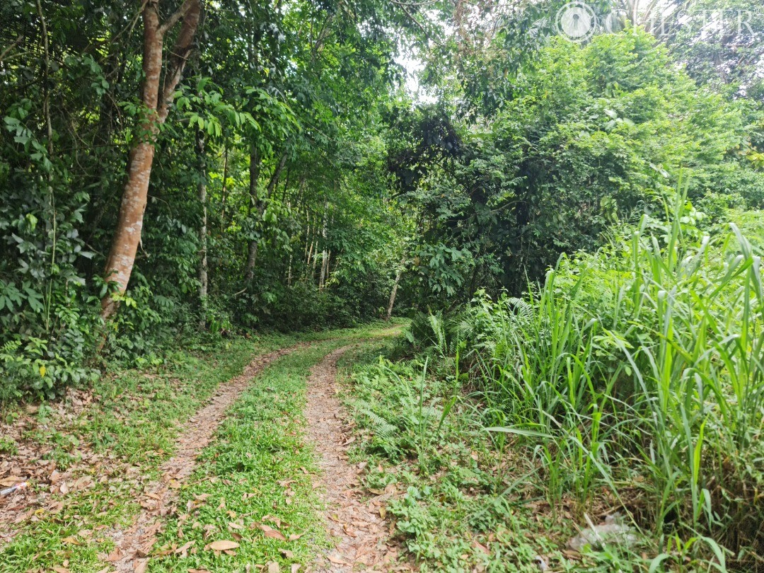 5-512-acres-bentong-old-road-main-town-development-land-for-sale-4