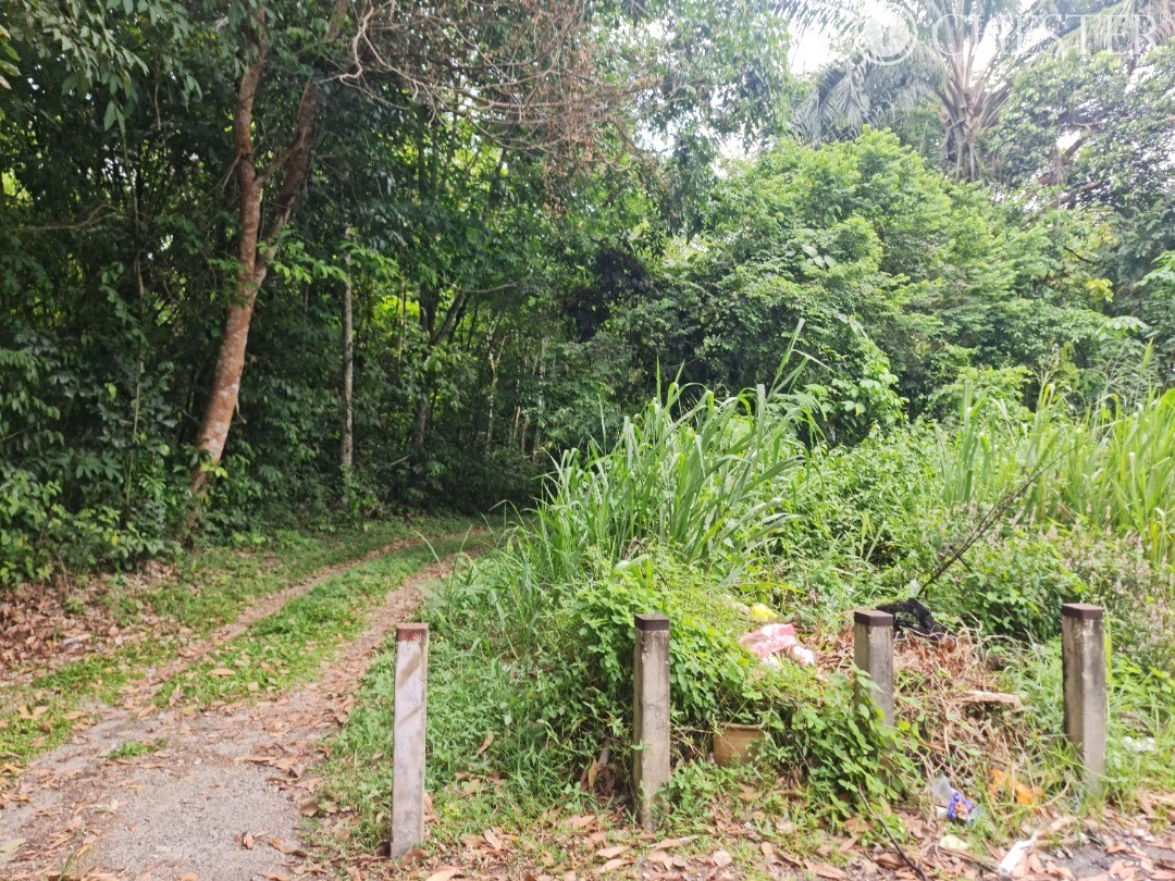 5-512-acres-bentong-old-road-main-town-development-land-for-sale-6