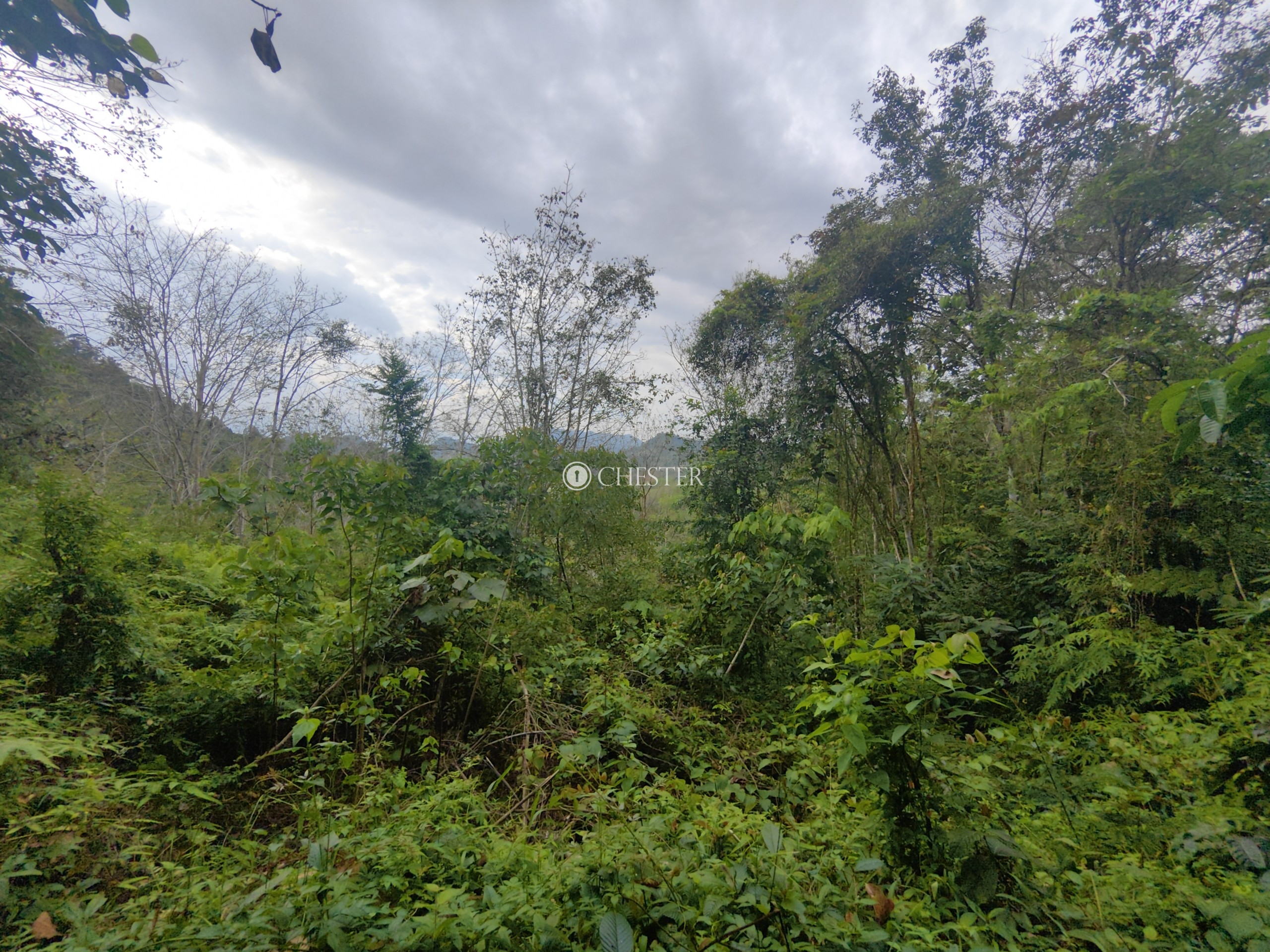 9-acres-bentong-acasia-retreat-rubber-land-for-sale-12