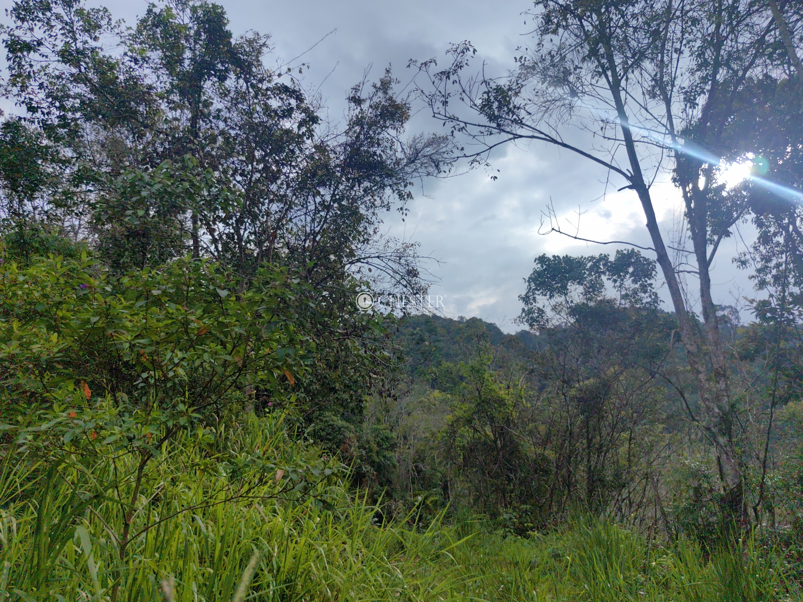 9-acres-bentong-acasia-retreat-rubber-land-for-sale-2