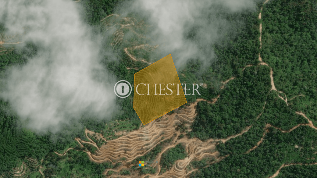 9-acres-bentong-rubber-land-for-sale-18