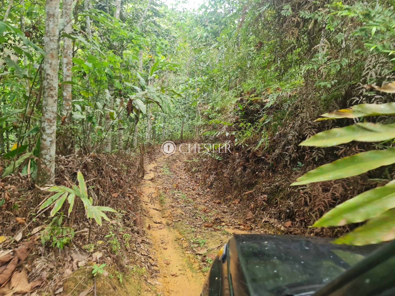 9-acres-bentong-rubber-land-for-sale-6