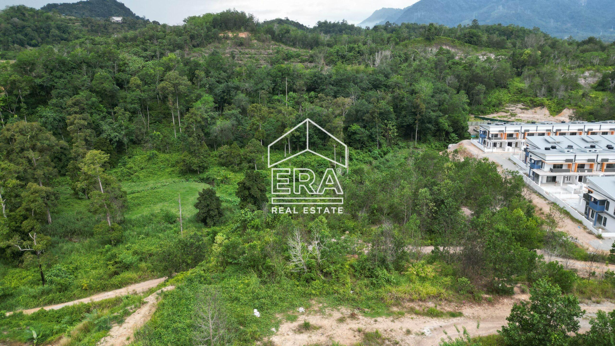 DJI_0141-crushimage-scaled-1