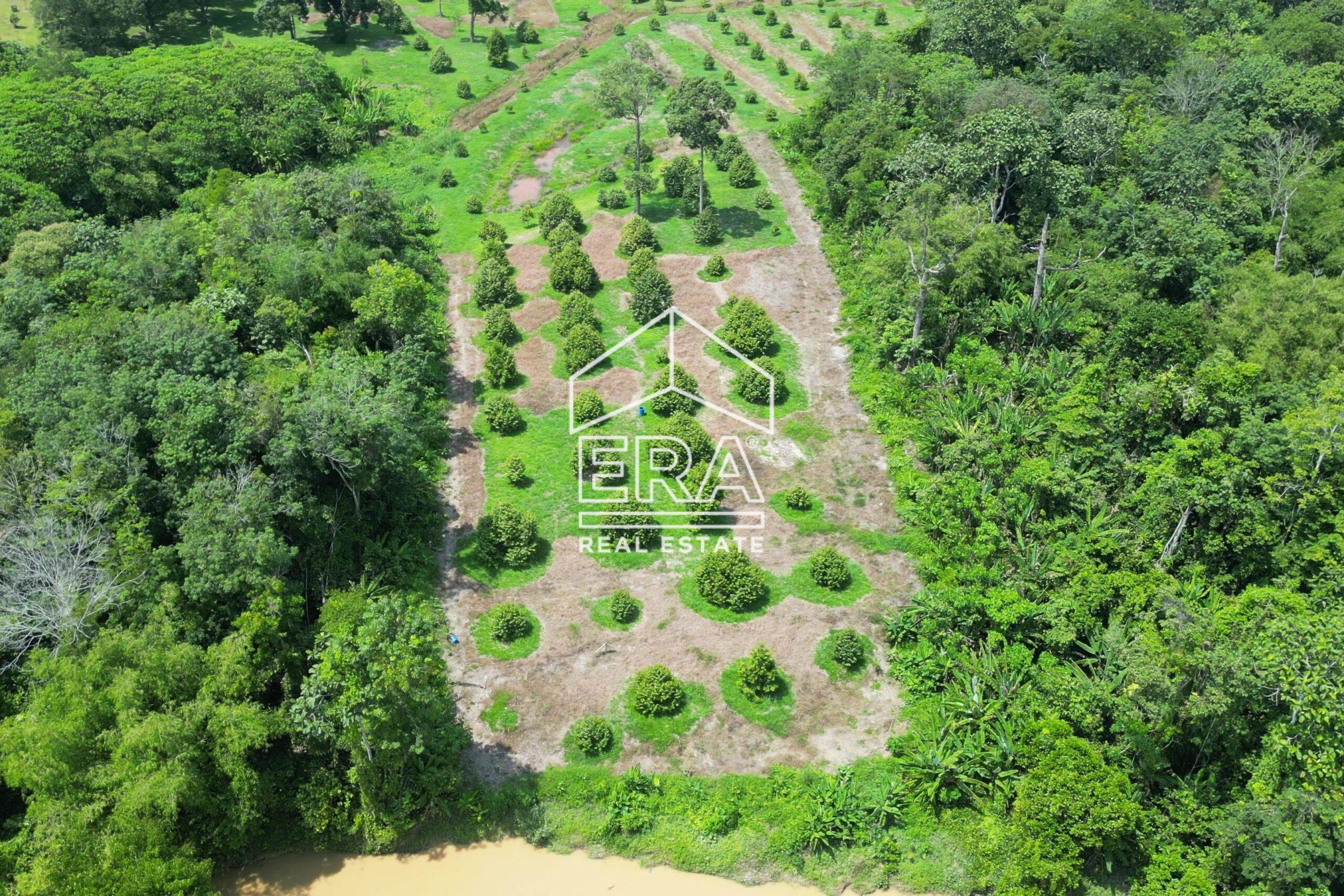 DJI_0269-frame-at-0m5s-crushimage-scaled-1