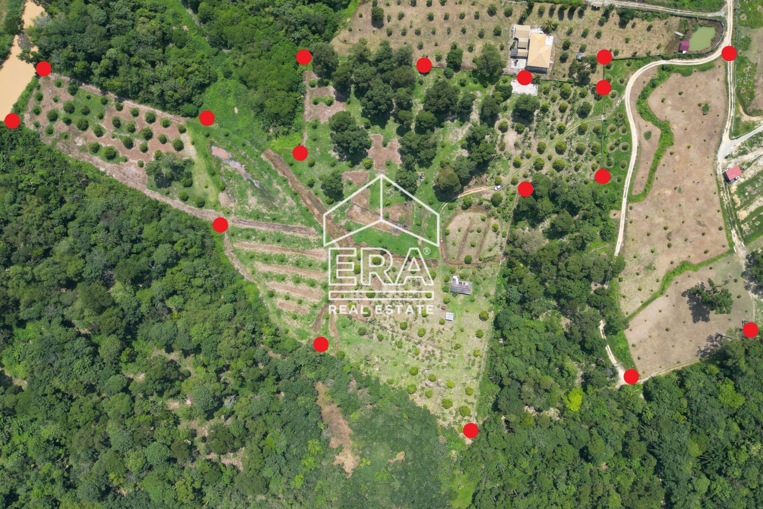 DJI_0274-crushimage-scaled-1