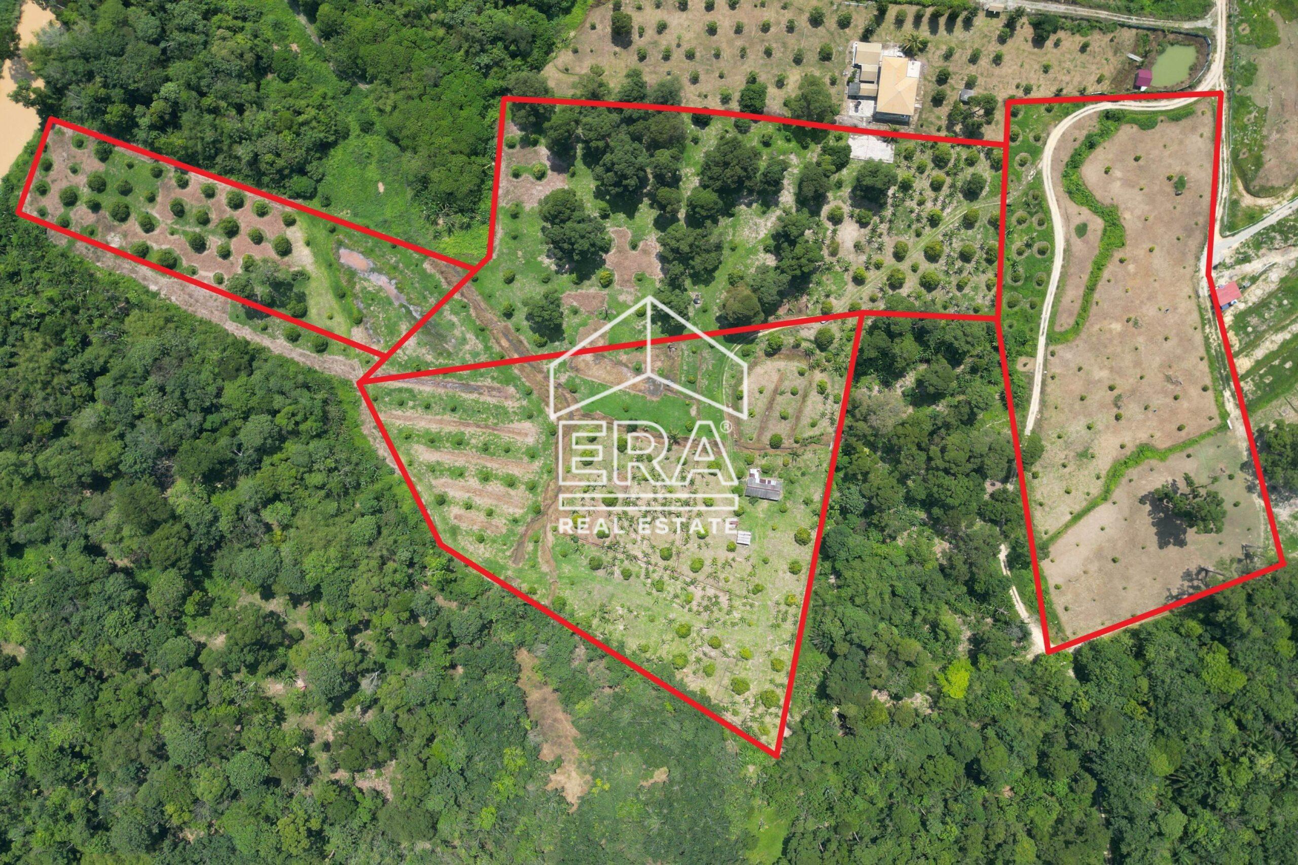 DJI_0274_1-crushimage-scaled-1