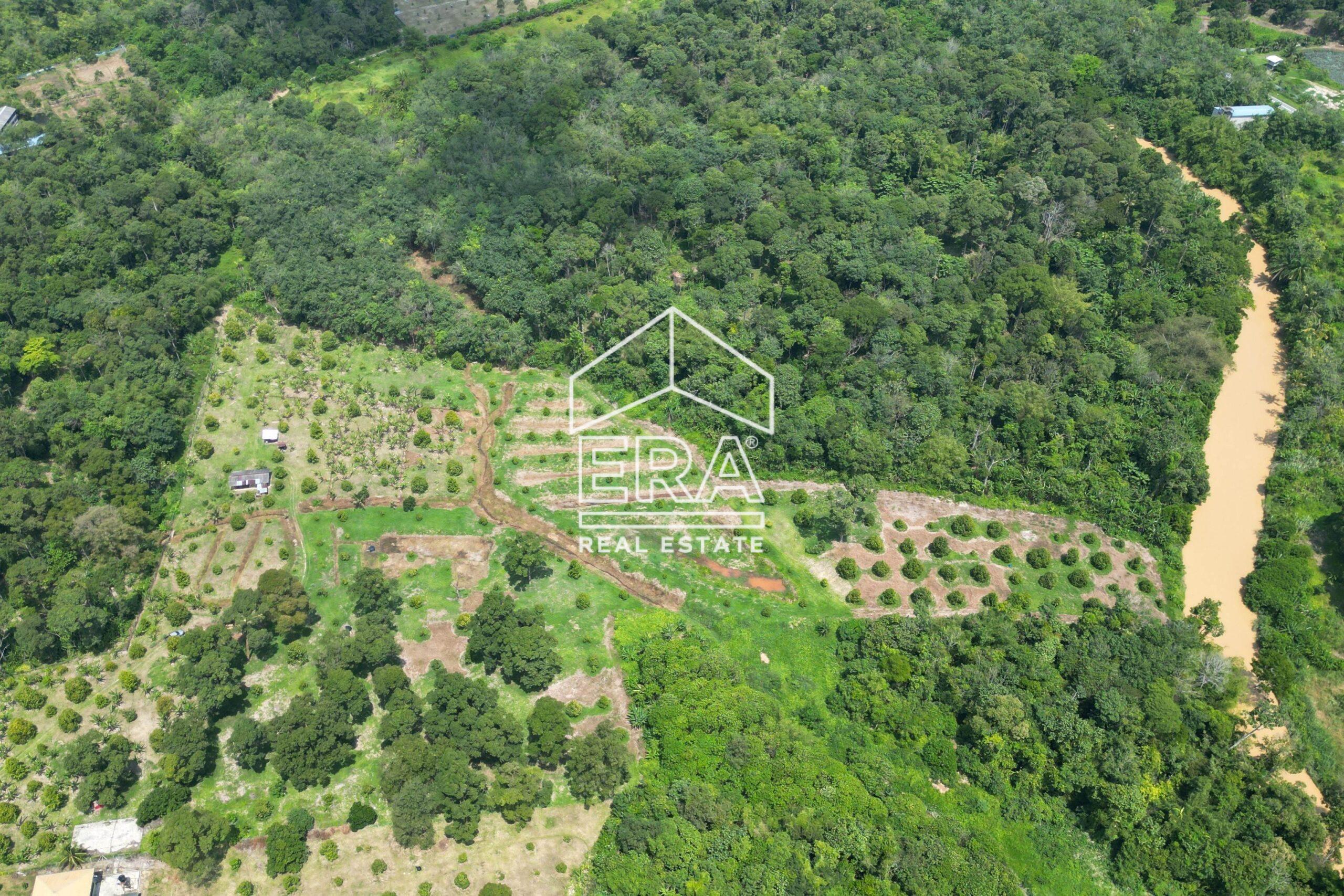 DJI_0281-crushimage-scaled-1