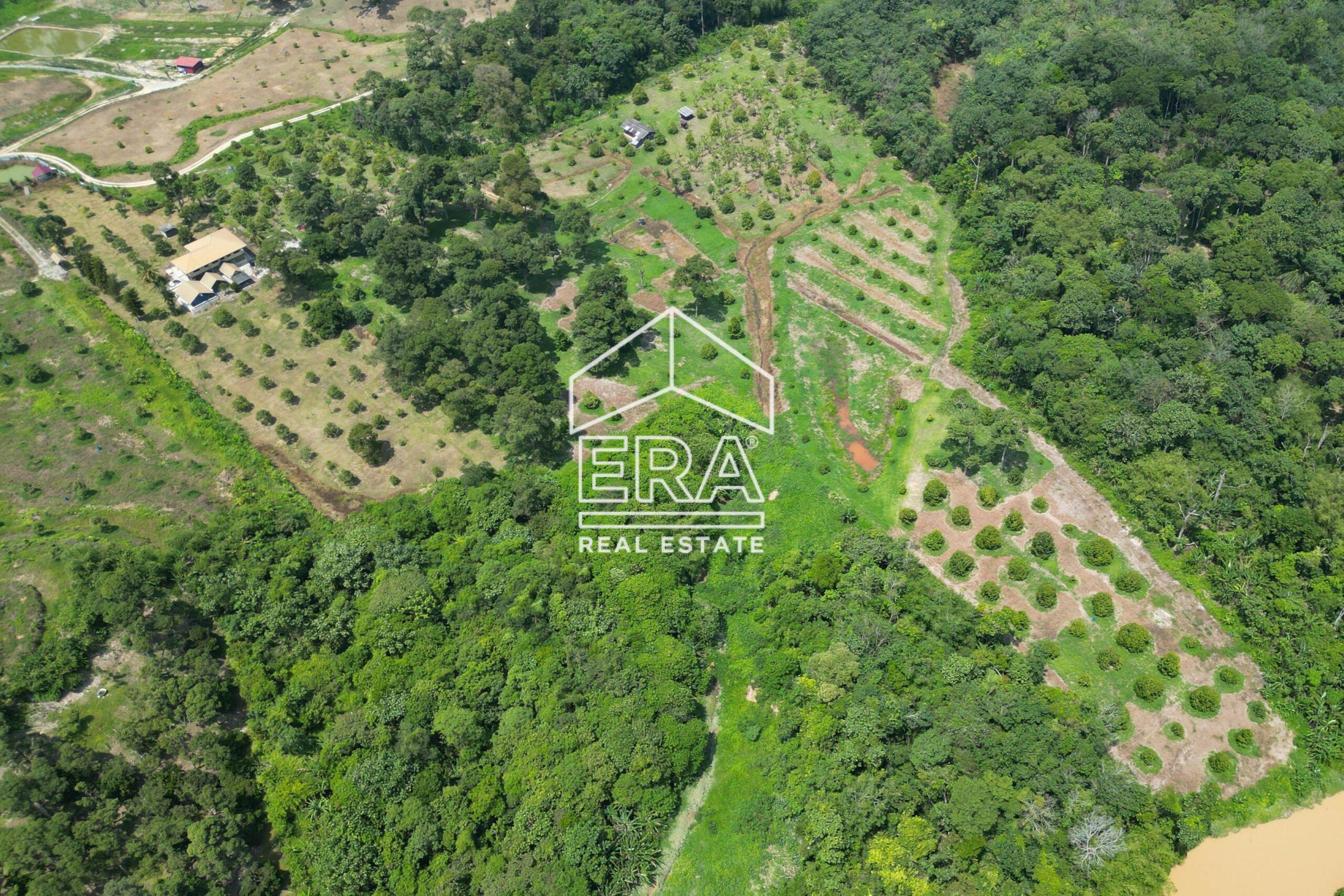 DJI_0282-crushimage-scaled-1