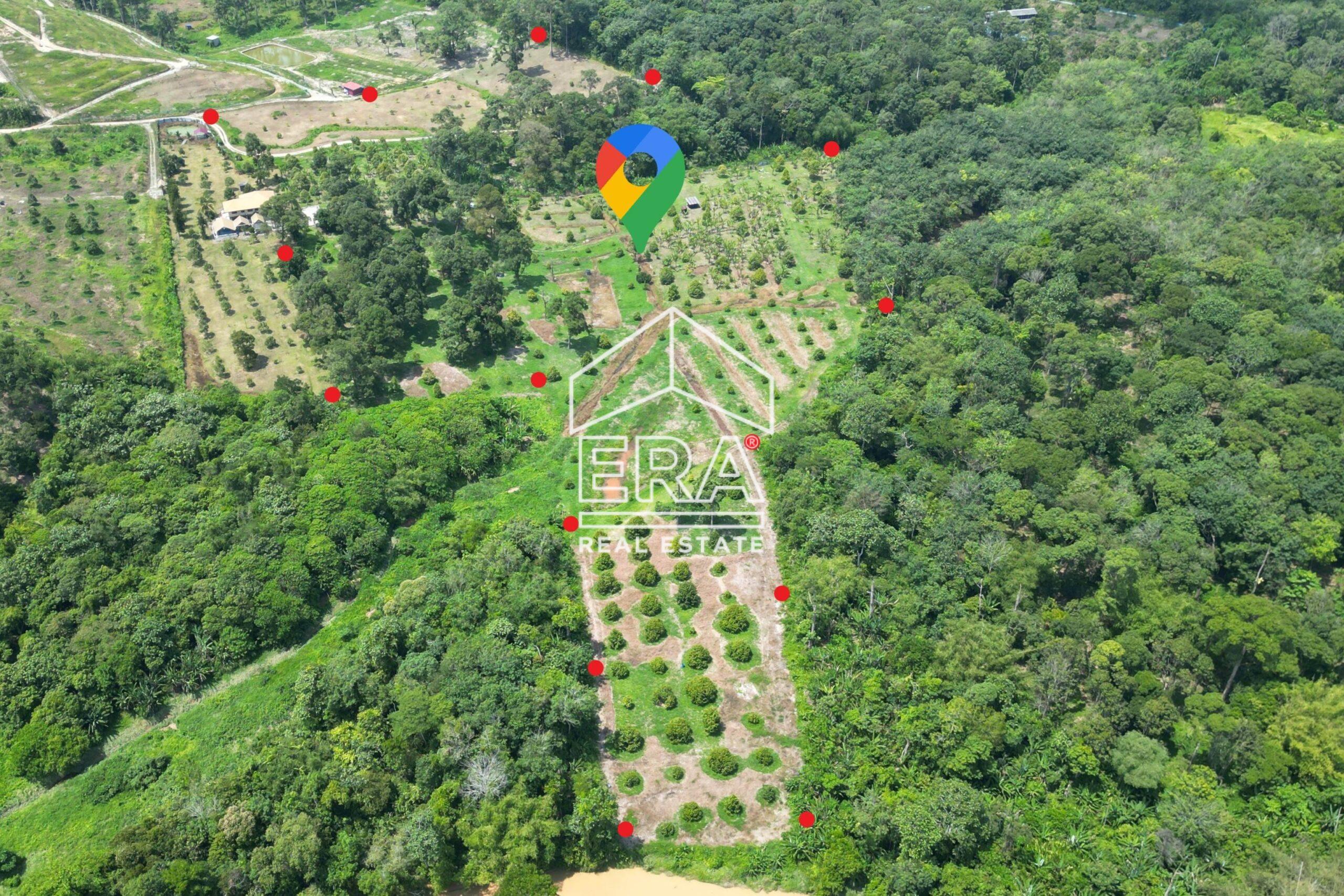 DJI_0284_-crushimage-scaled-1