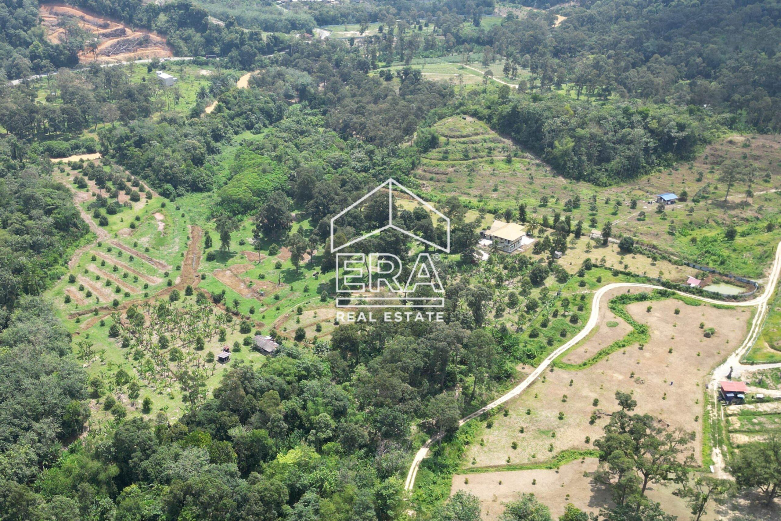 DJI_0288-crushimage-scaled-1