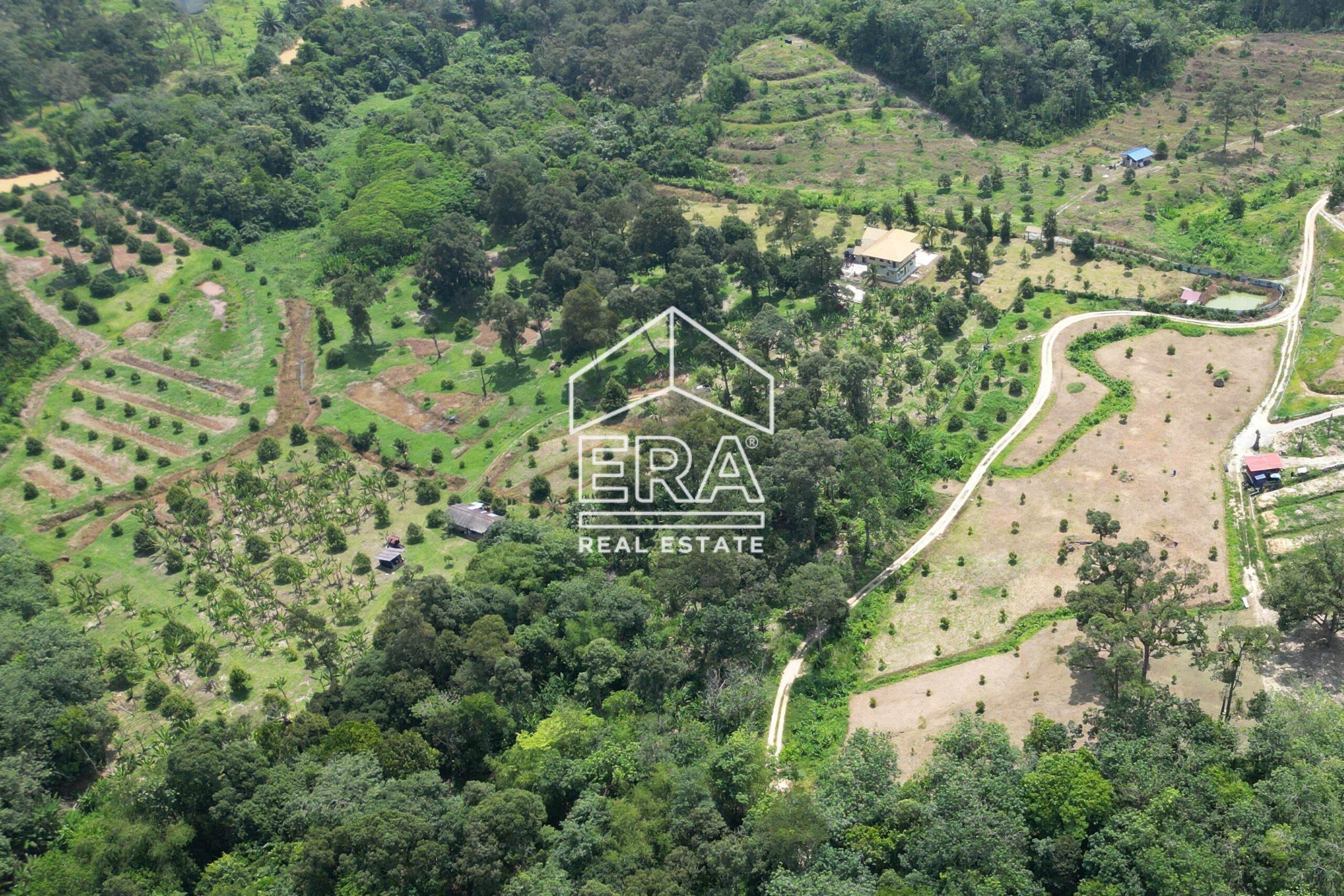 DJI_0289-crushimage-scaled-1