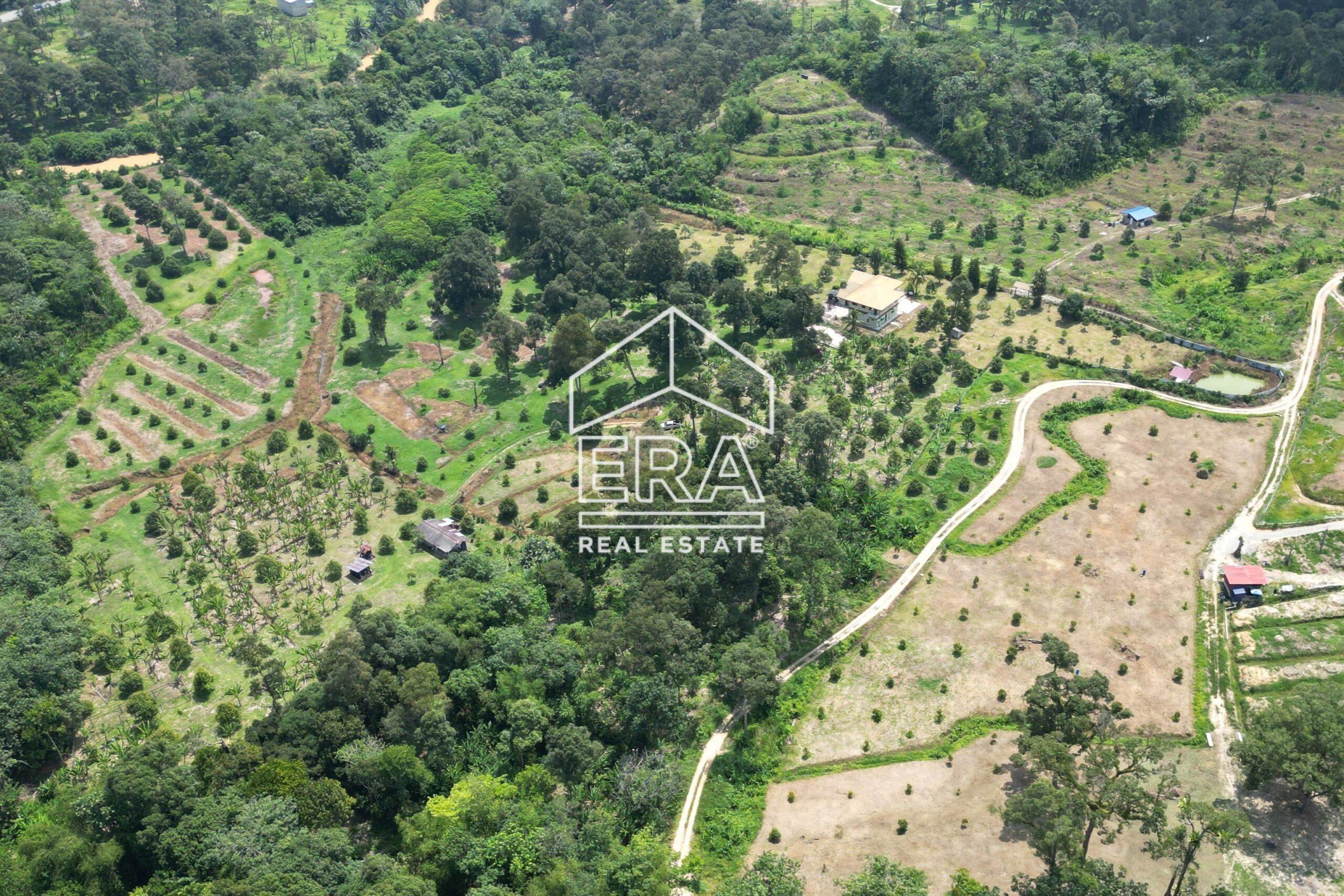 DJI_0290-crushimage-scaled-1