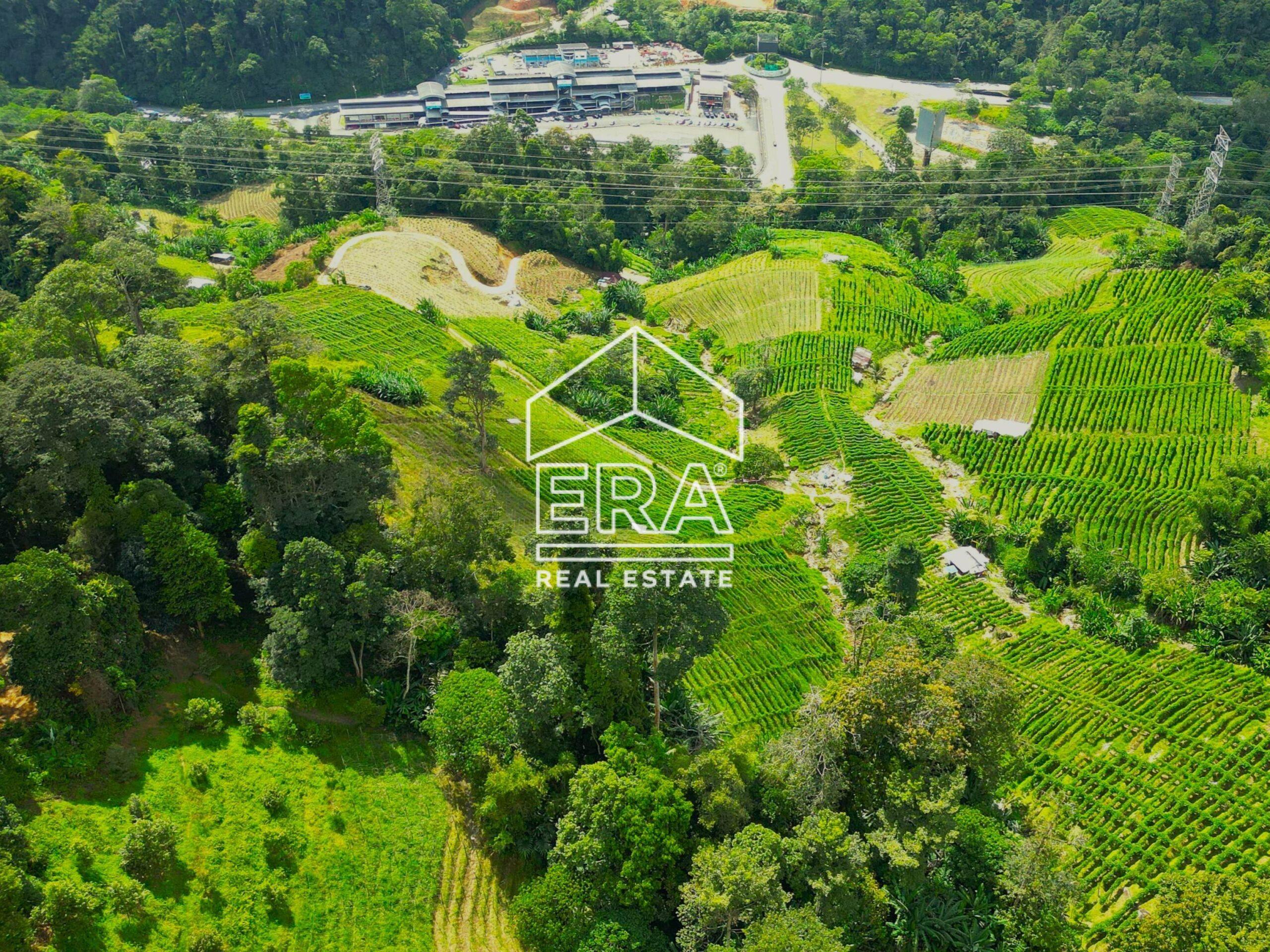 DJI_0296-crushimage-scaled-1