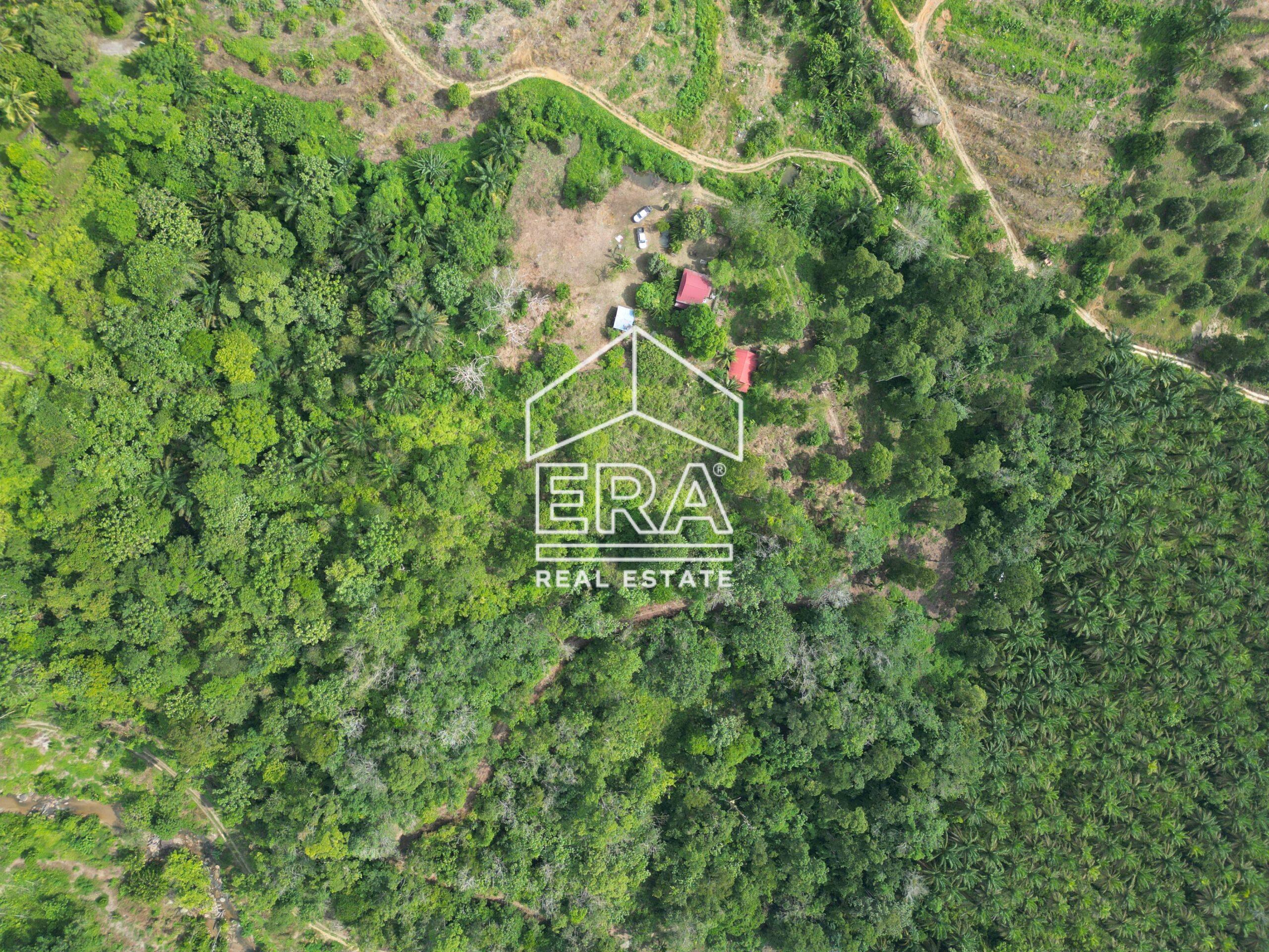 DJI_0574-CompressJPG-scaled-1