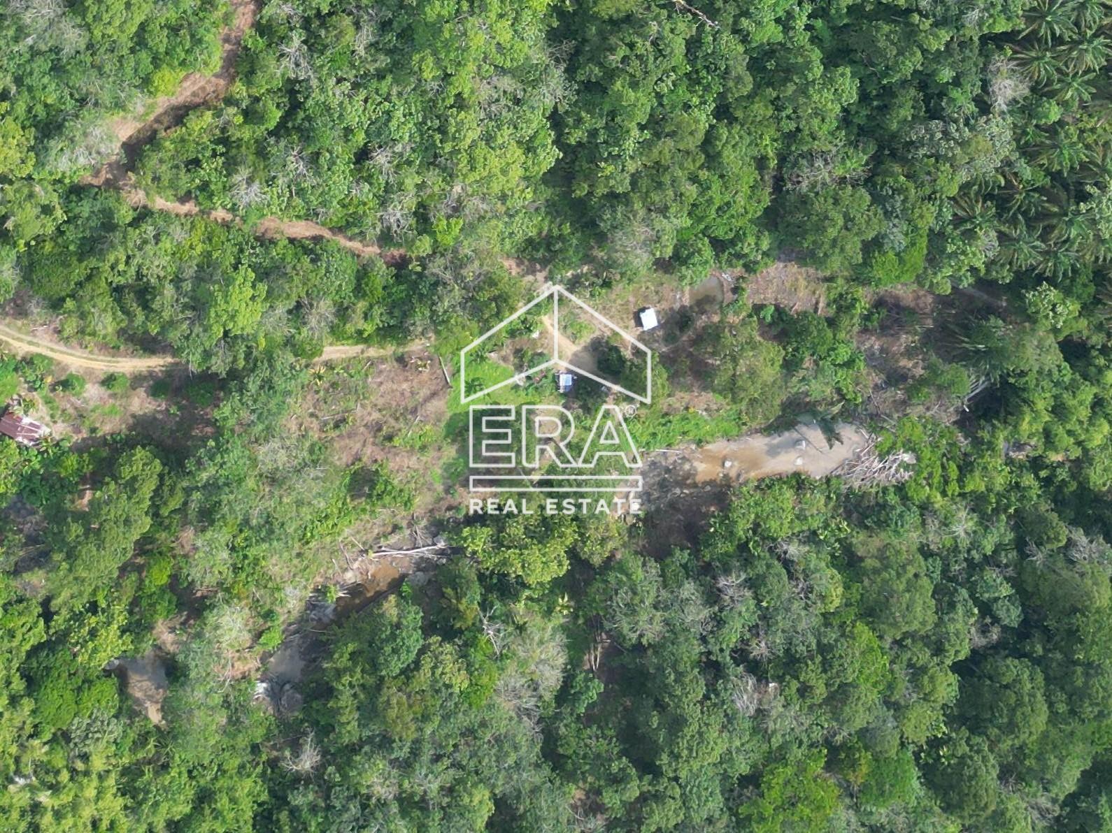 DJI_0577-CompressJPG