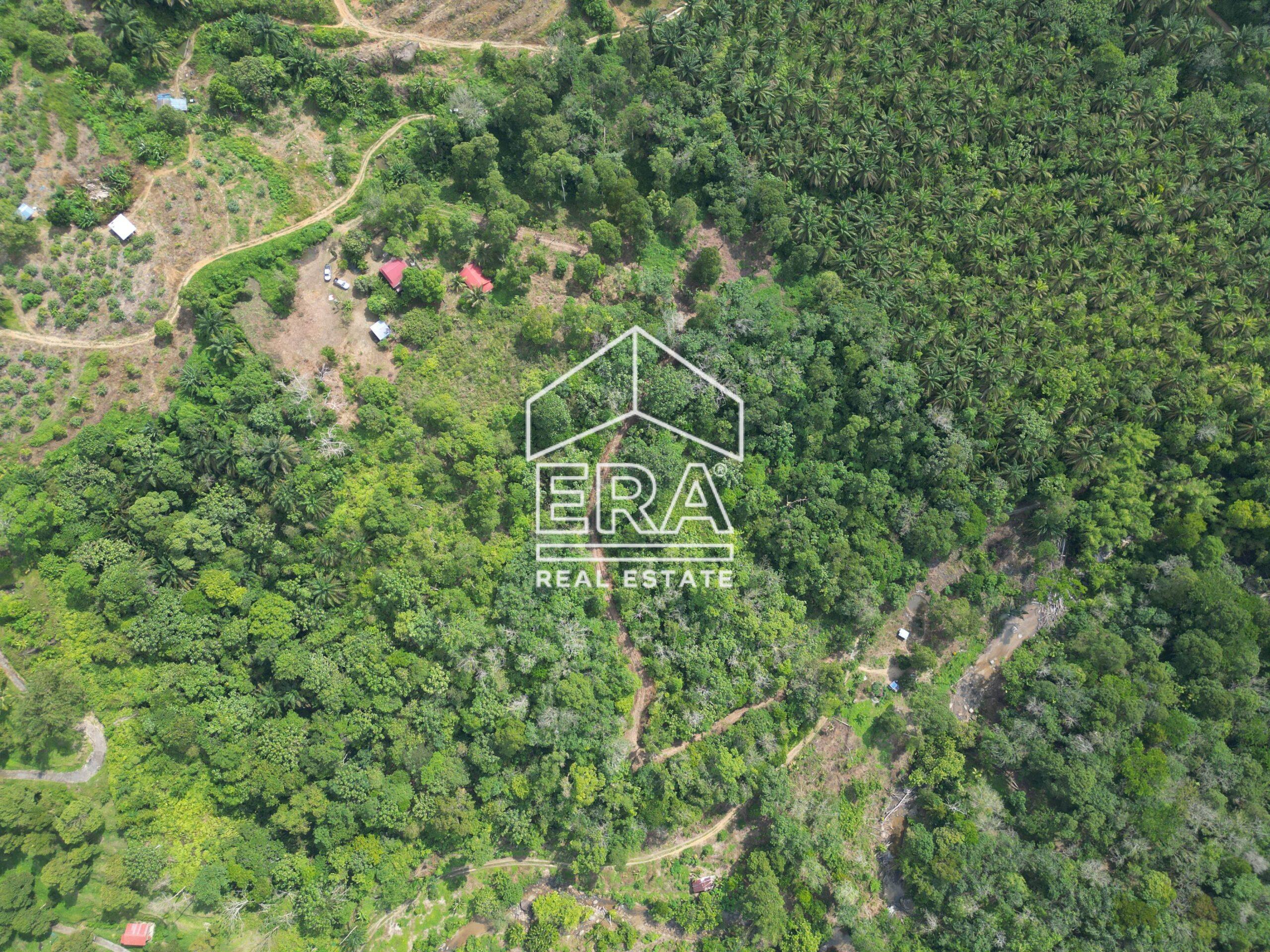 DJI_0581-CompressJPG-scaled-1