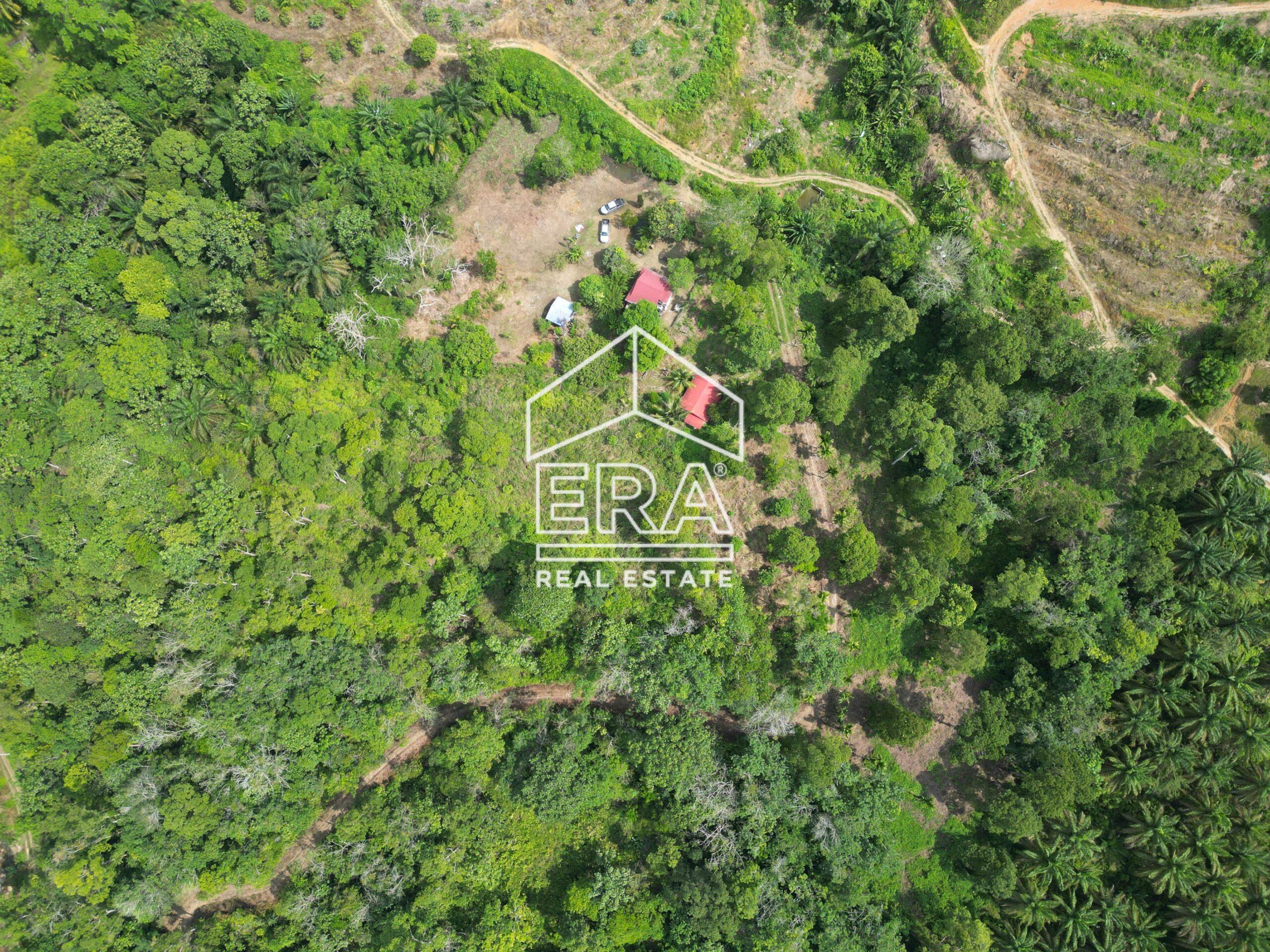 DJI_0585-CompressJPG-scaled-1