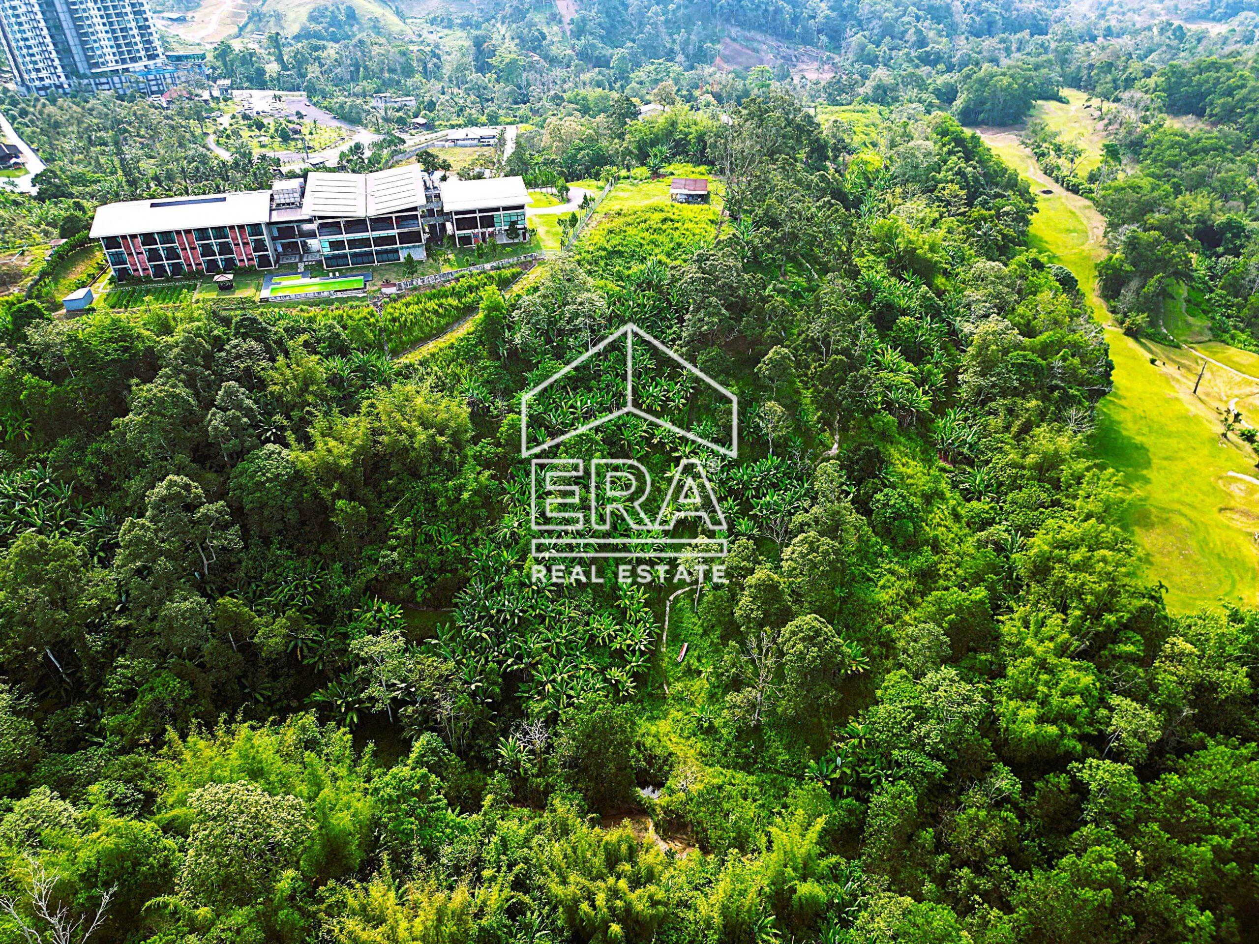 DJI_0684-crushimage-scaled-1