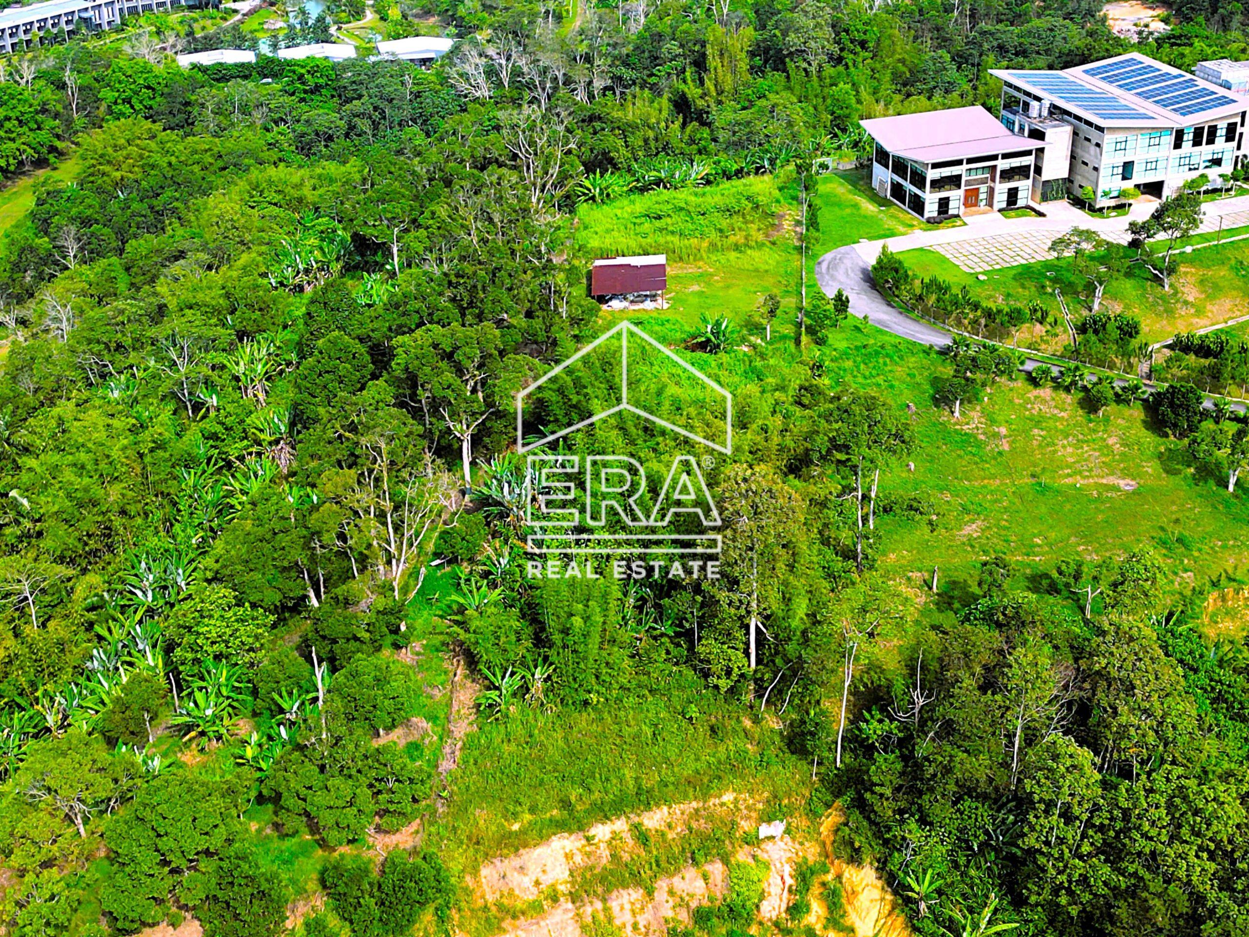 DJI_0686-crushimage-scaled-1