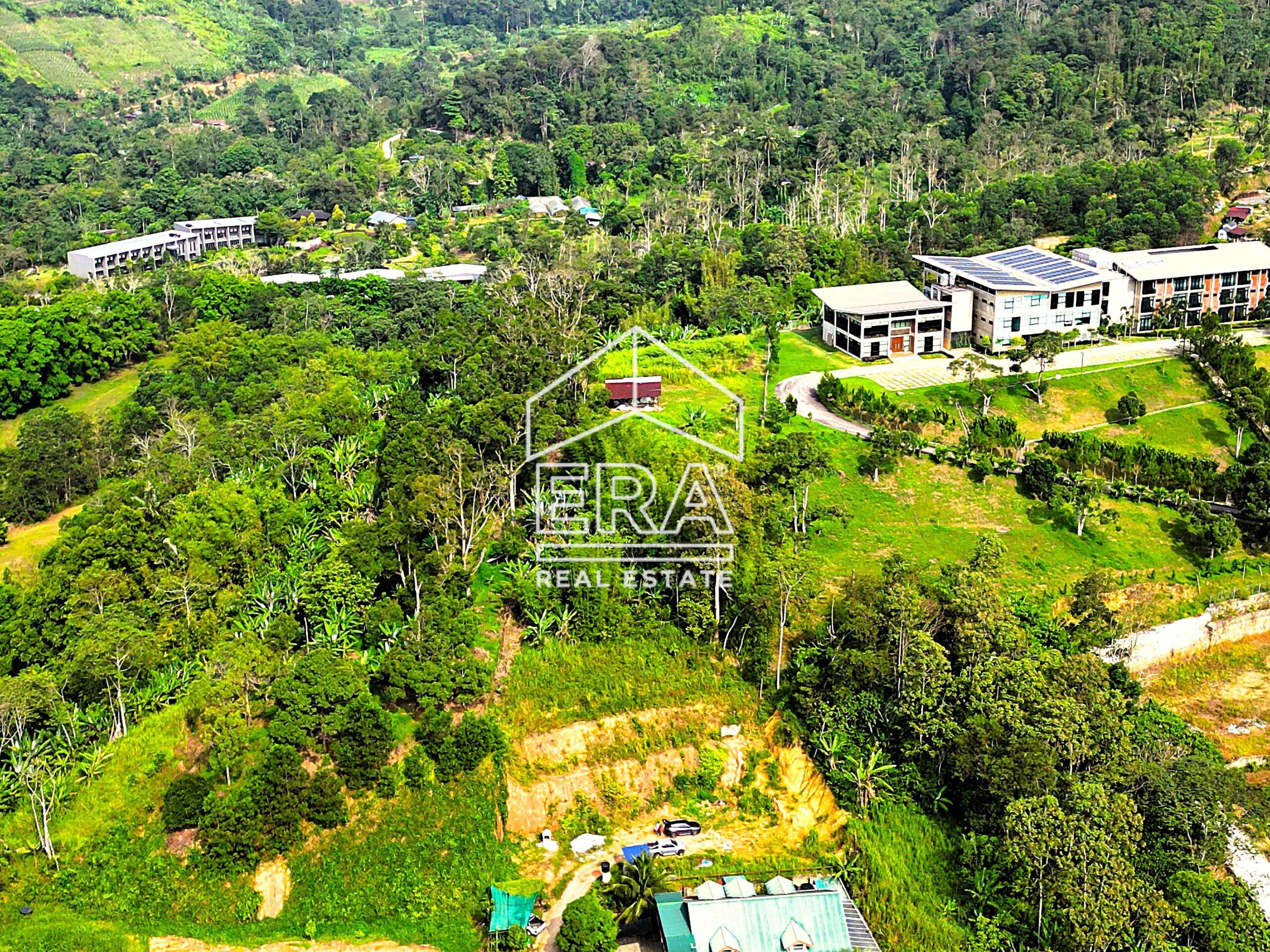 DJI_0687-crushimage-scaled-1