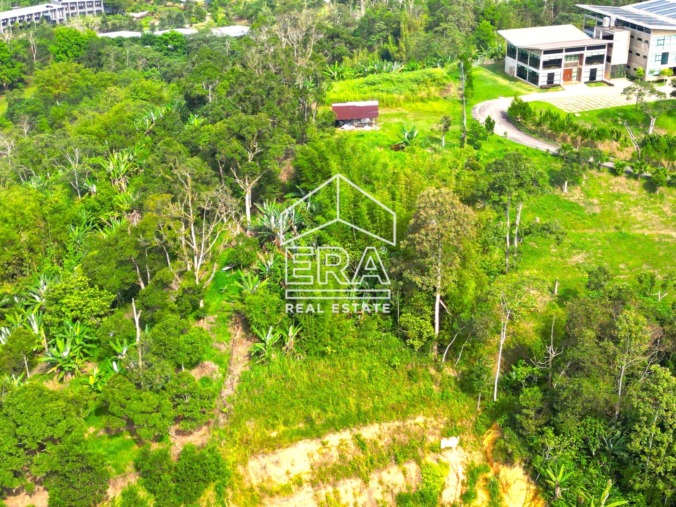 DJI_0690-crushimage-scaled-1