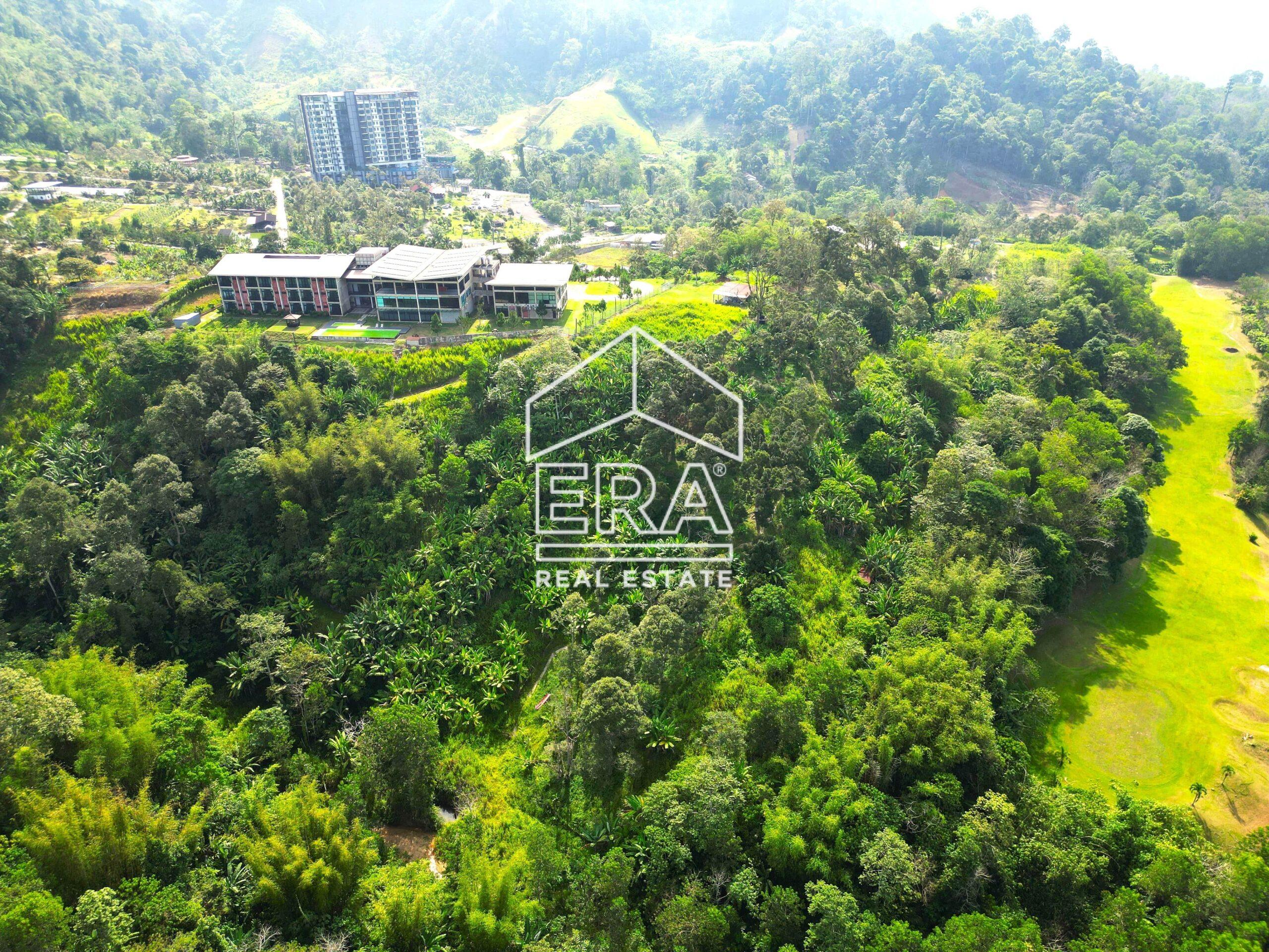 DJI_0694-crushimage-scaled-1