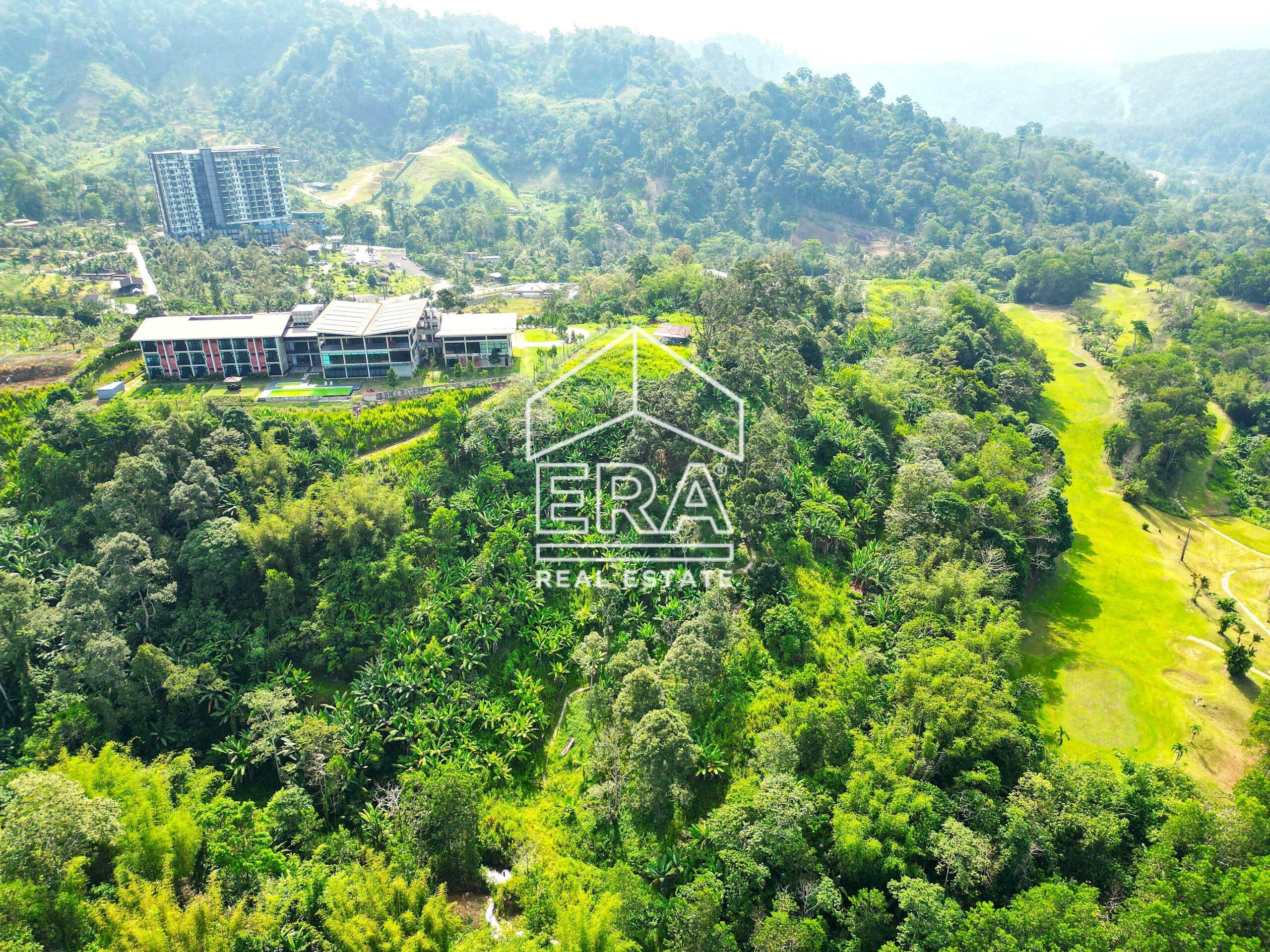 DJI_0697-crushimage-scaled-1