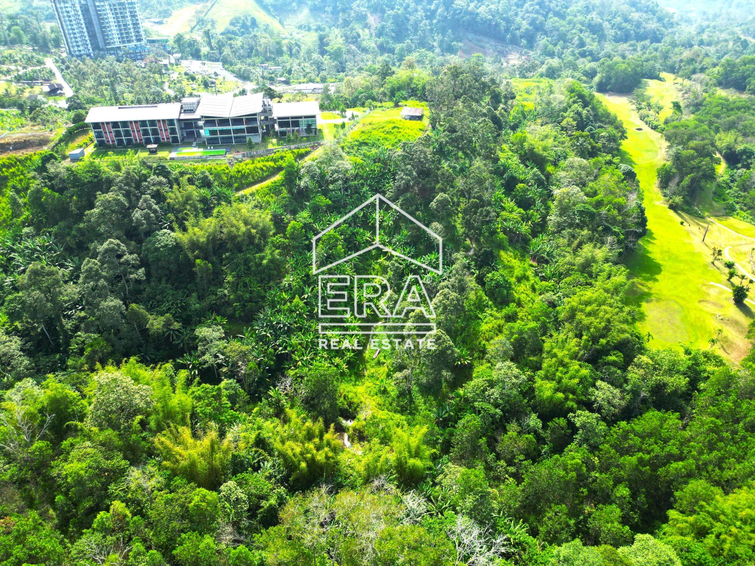 DJI_0698-crushimage-scaled-1