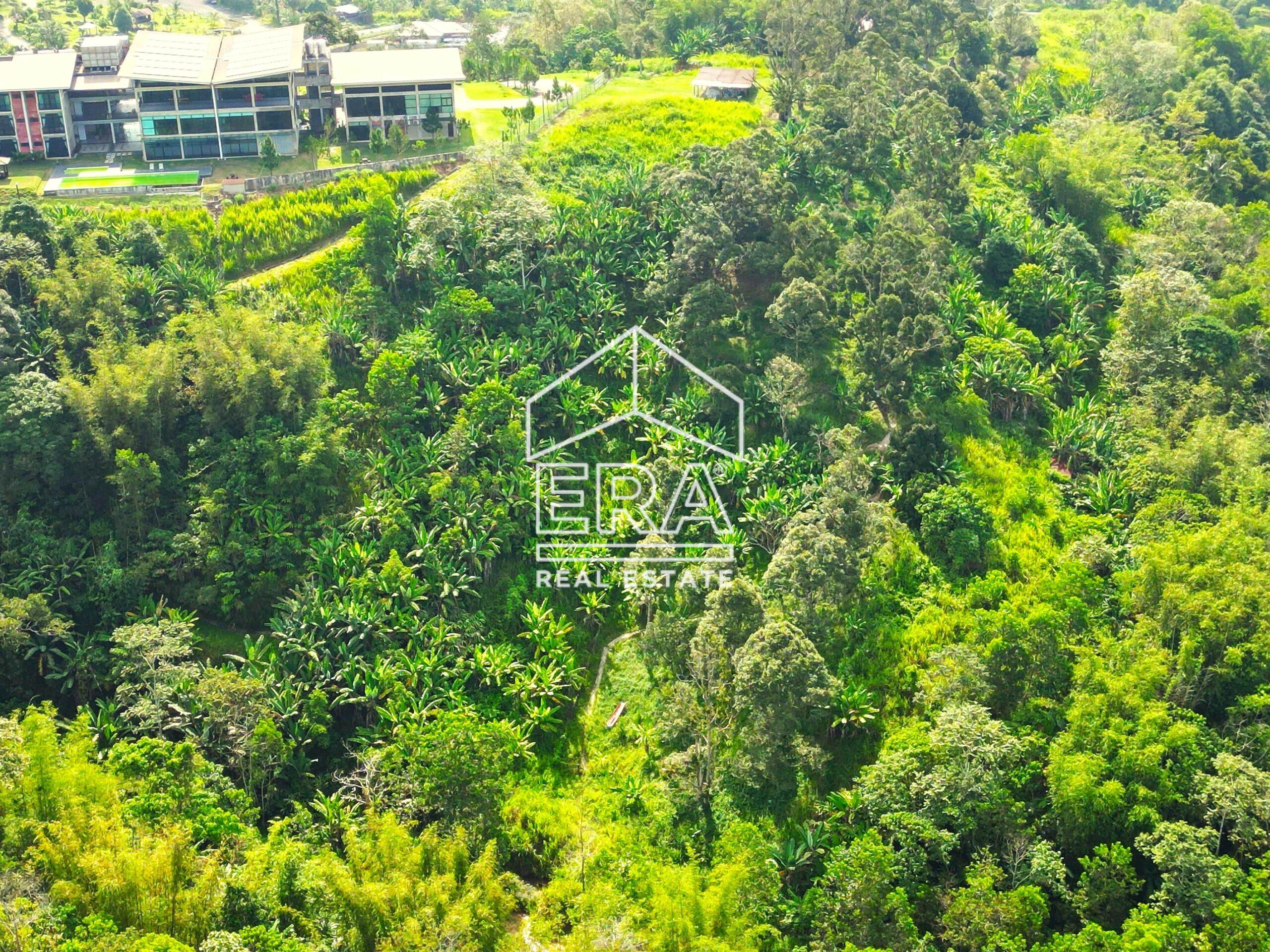 DJI_0701-crushimage-scaled-1