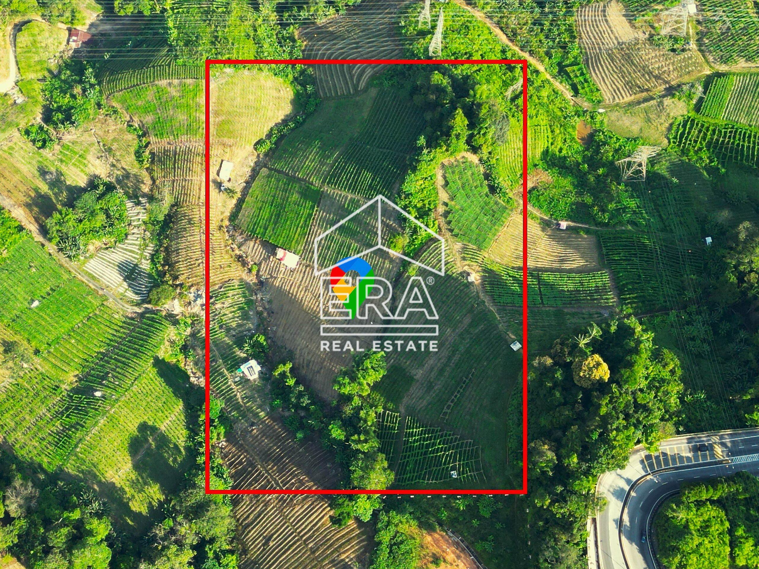 DJI_0833-crushimage-scaled-1