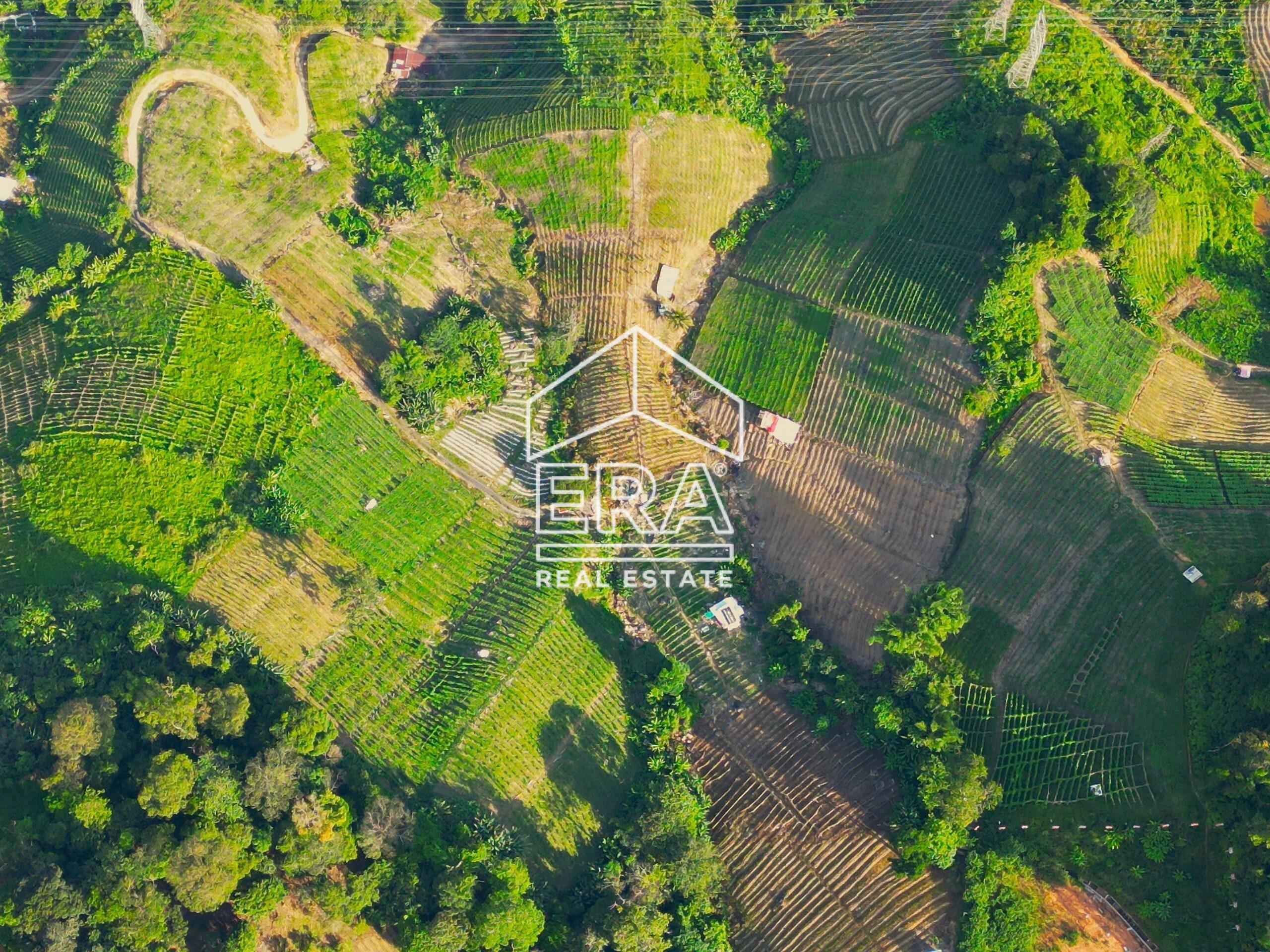 DJI_0834-crushimage-scaled-1