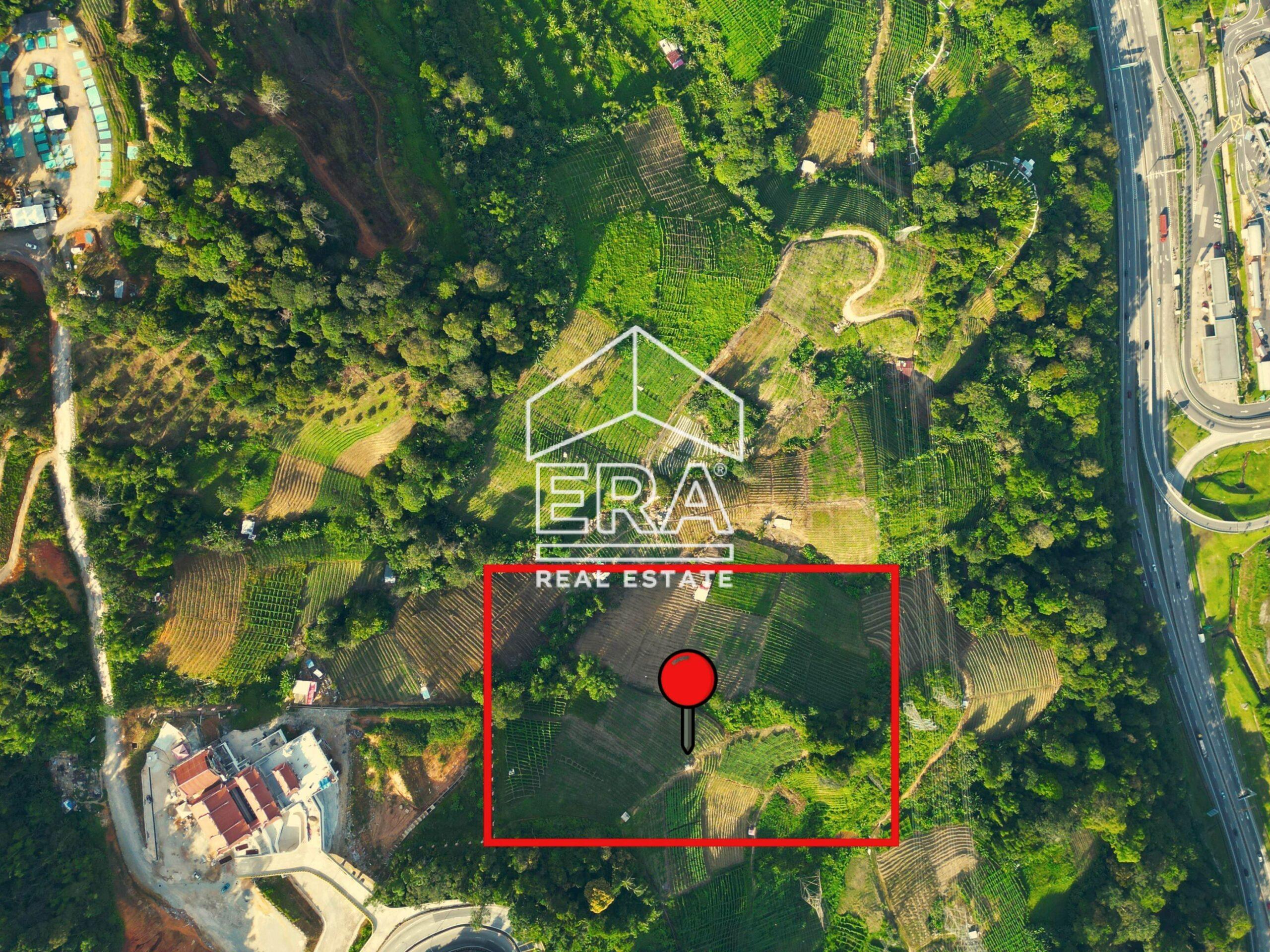 DJI_0842-crushimage-scaled-1