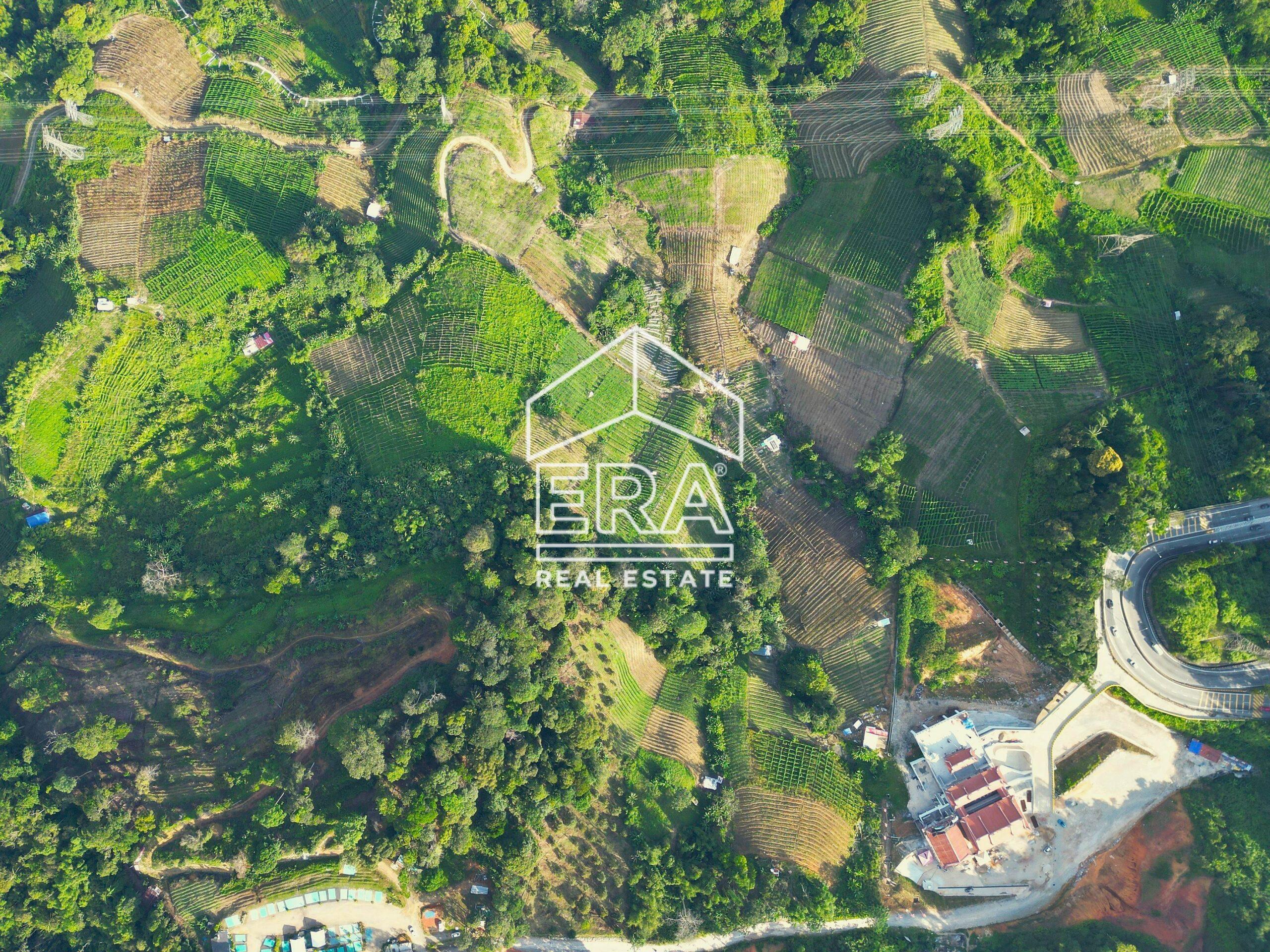 DJI_0843-crushimage-scaled-1