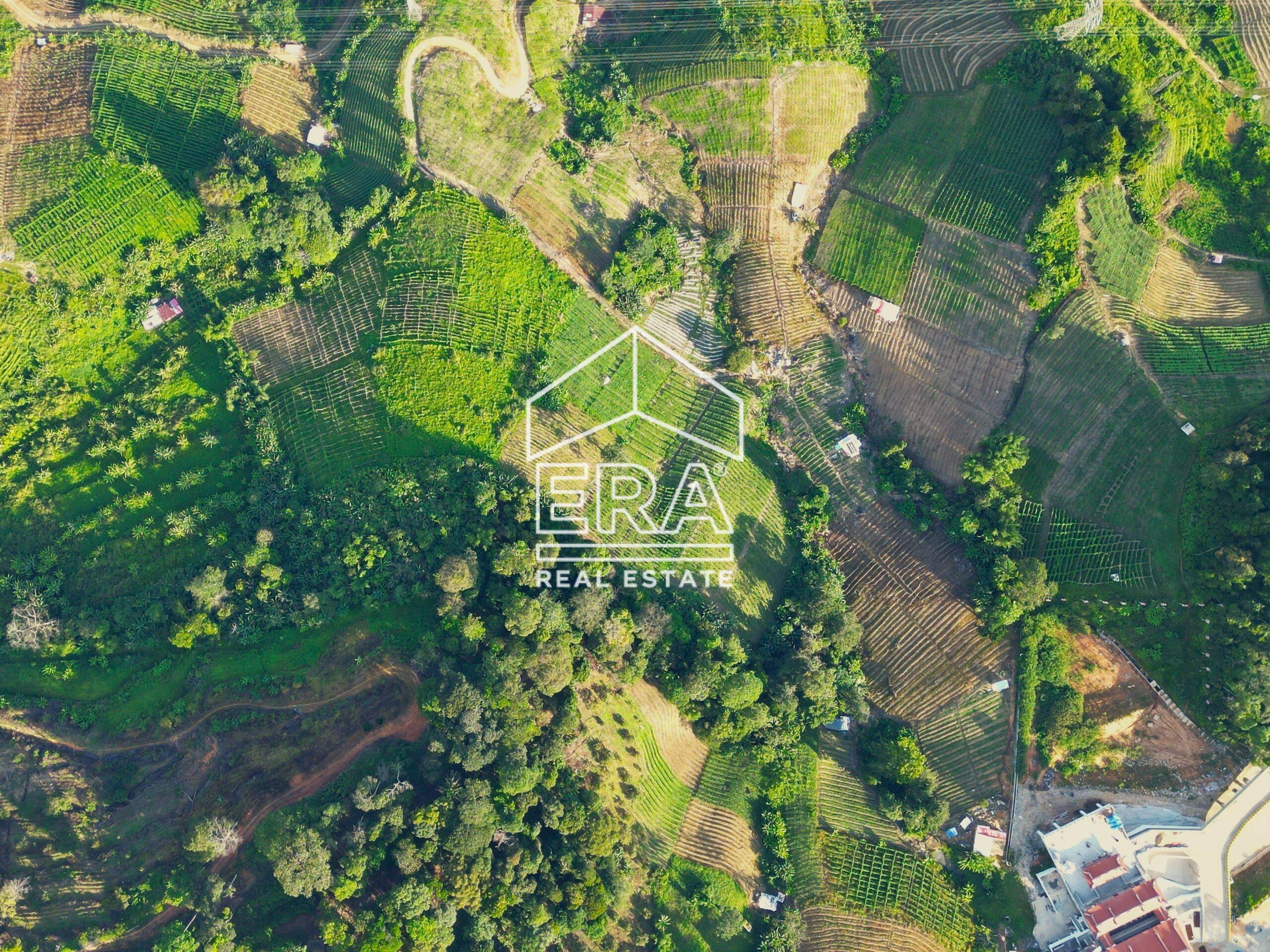 DJI_0845-crushimage-scaled-1