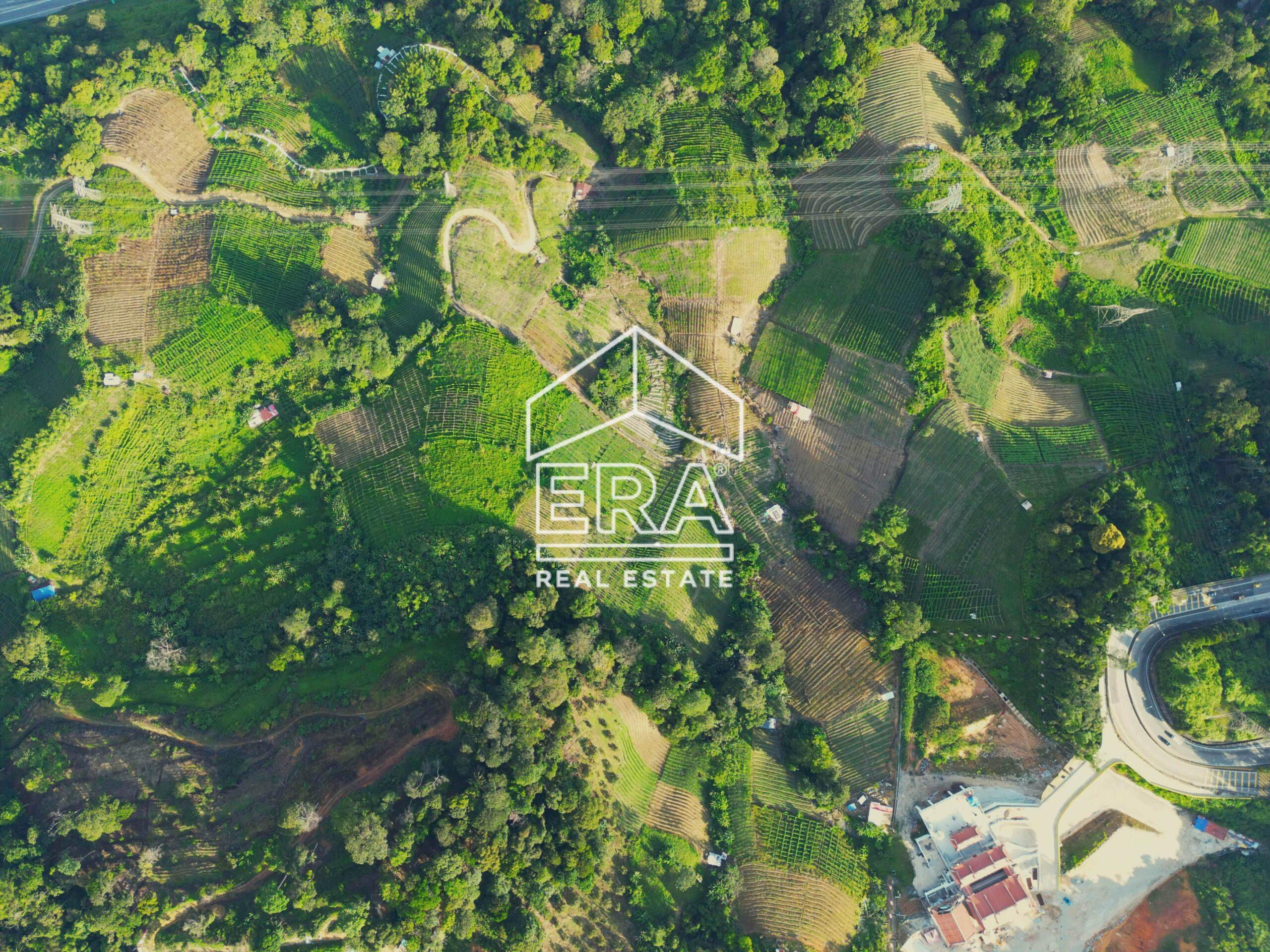 DJI_0848-crushimage-scaled-1