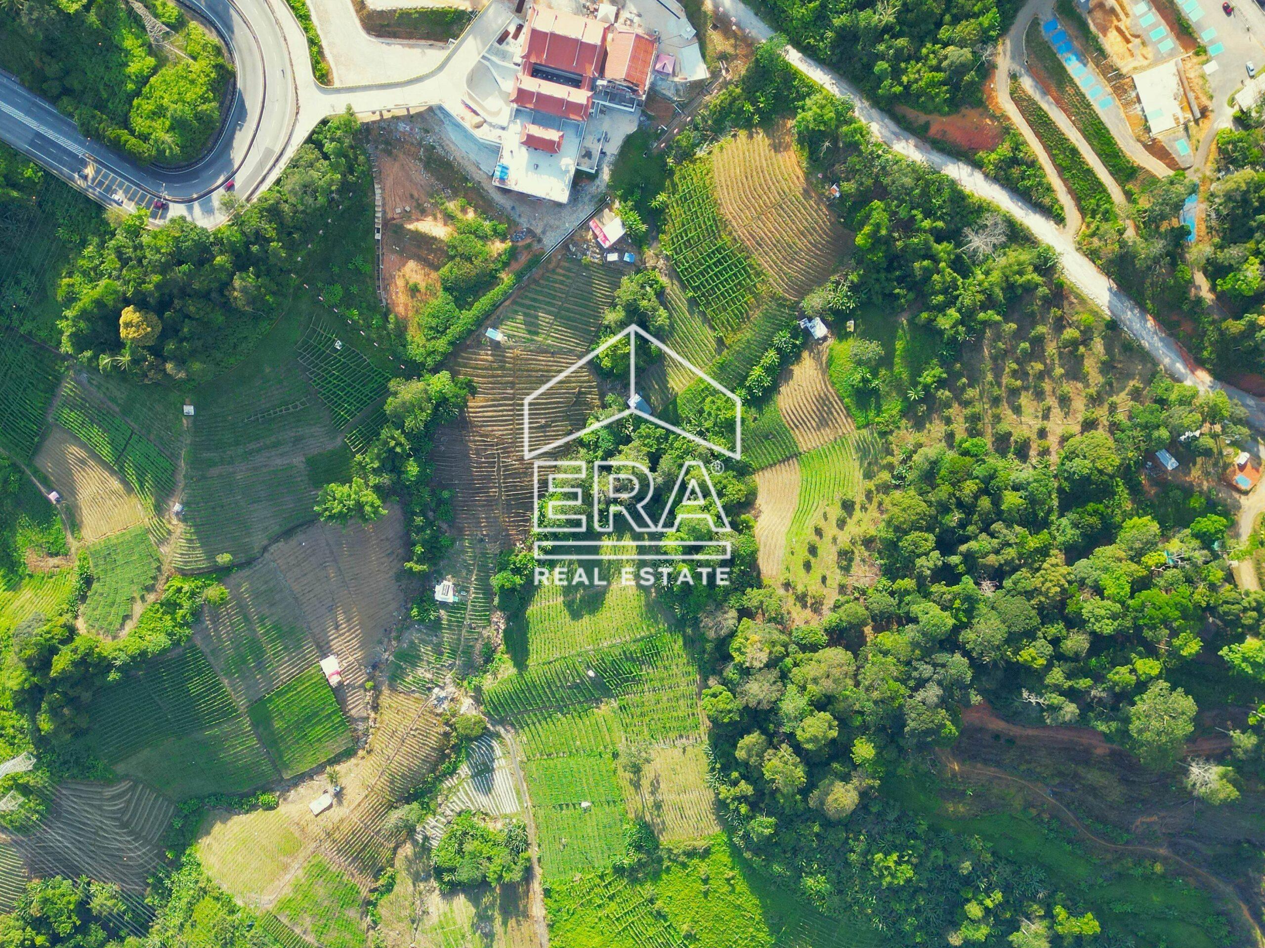 DJI_0849-crushimage-scaled-1