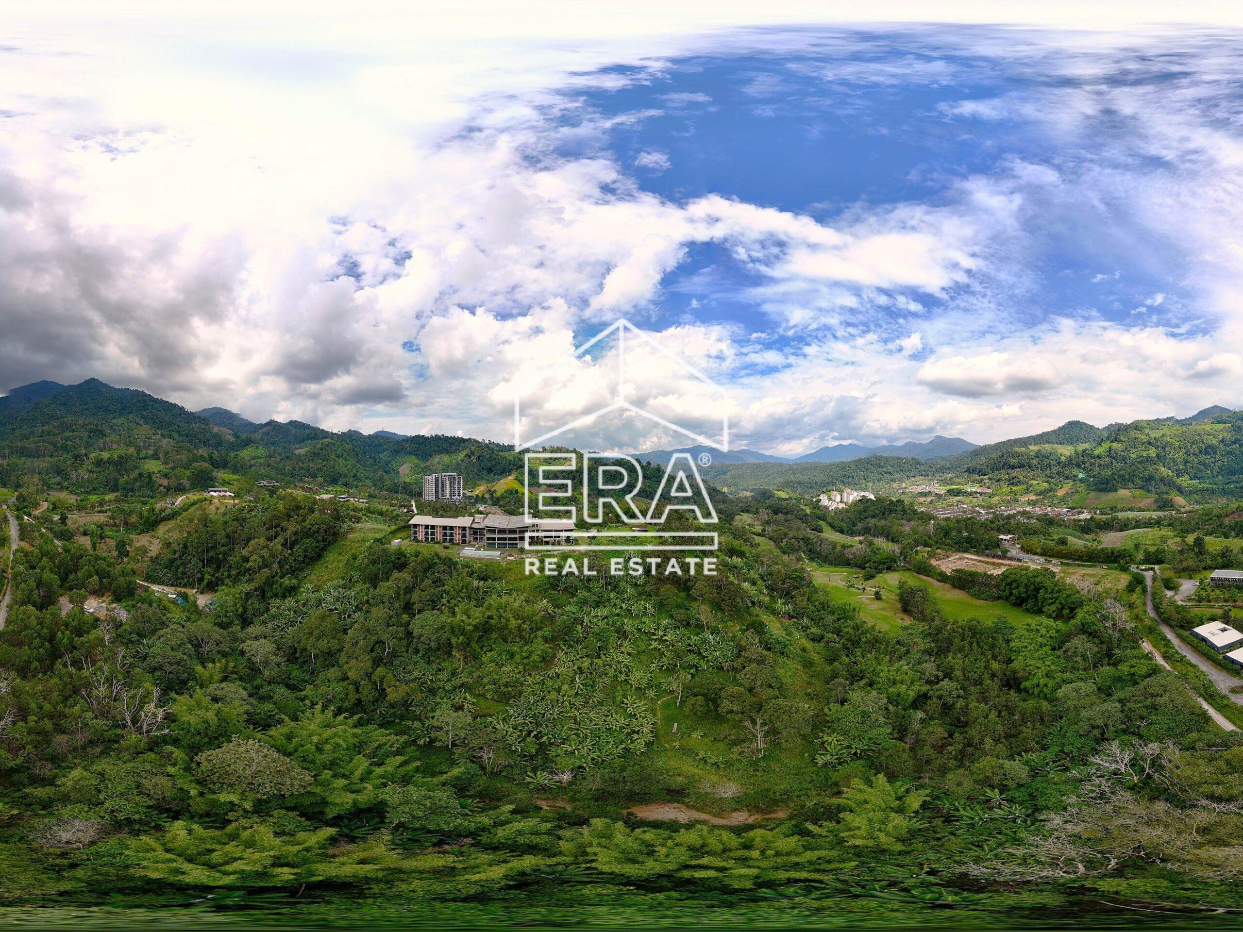 DJI_20240603154707_0388_D-crushimage_cropped-scaled-1