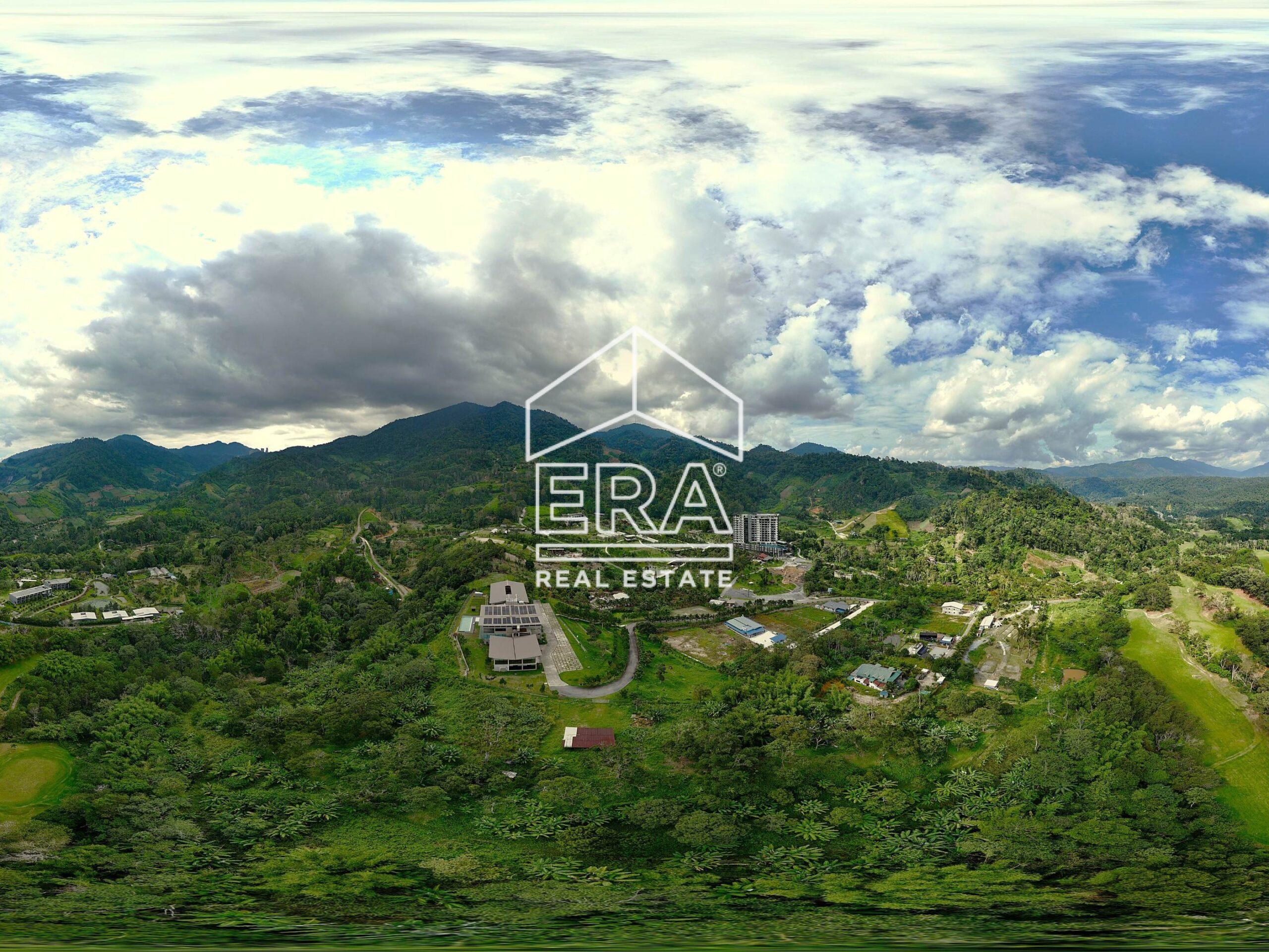 DJI_20240603154934_0389_D-crushimage_cropped-scaled-1